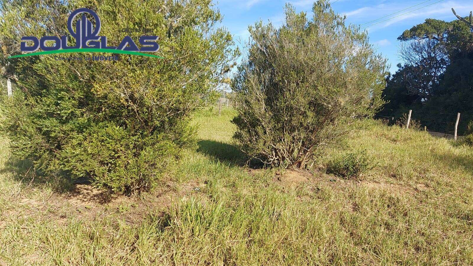 Terreno, 898 m² - Foto 6