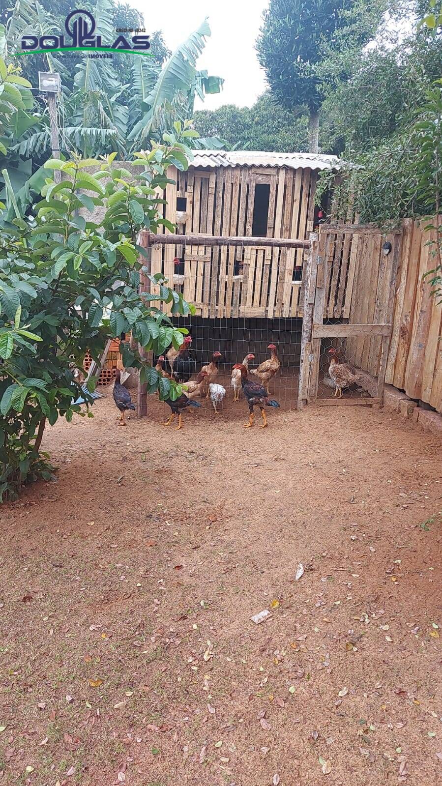 Casa, 3 quartos - Foto 15