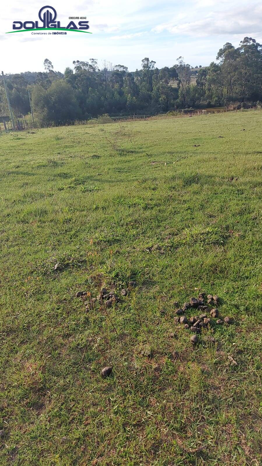 Terreno, 3 hectares - Foto 3