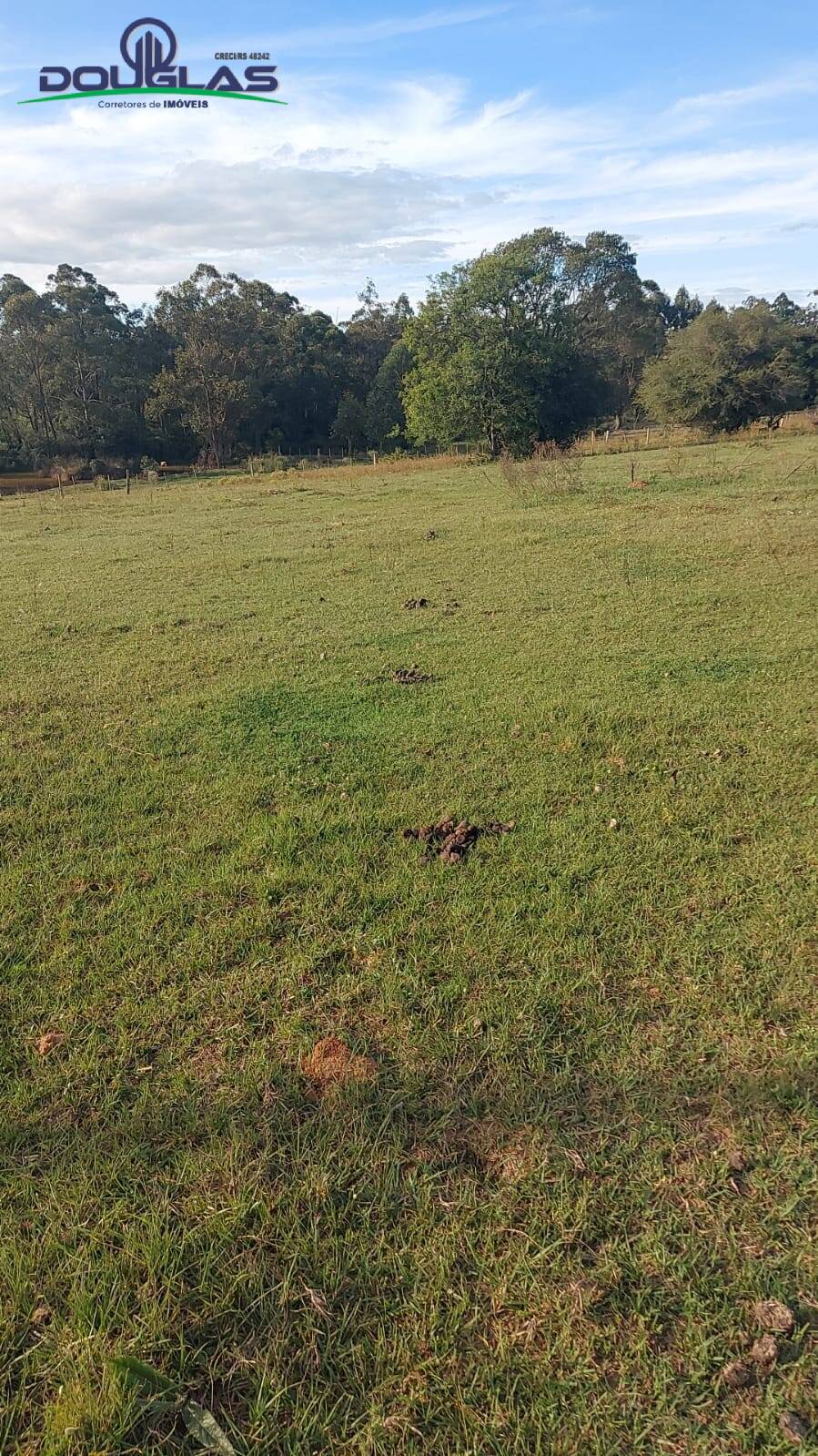 Terreno, 3 hectares - Foto 4