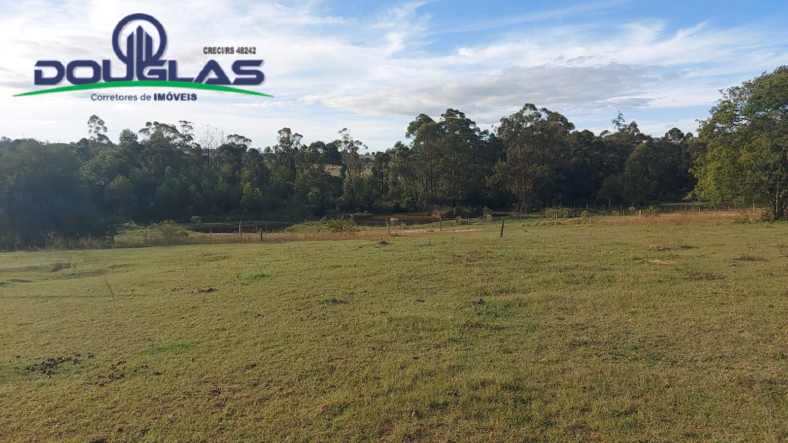 Terreno, 3 hectares - Foto 5