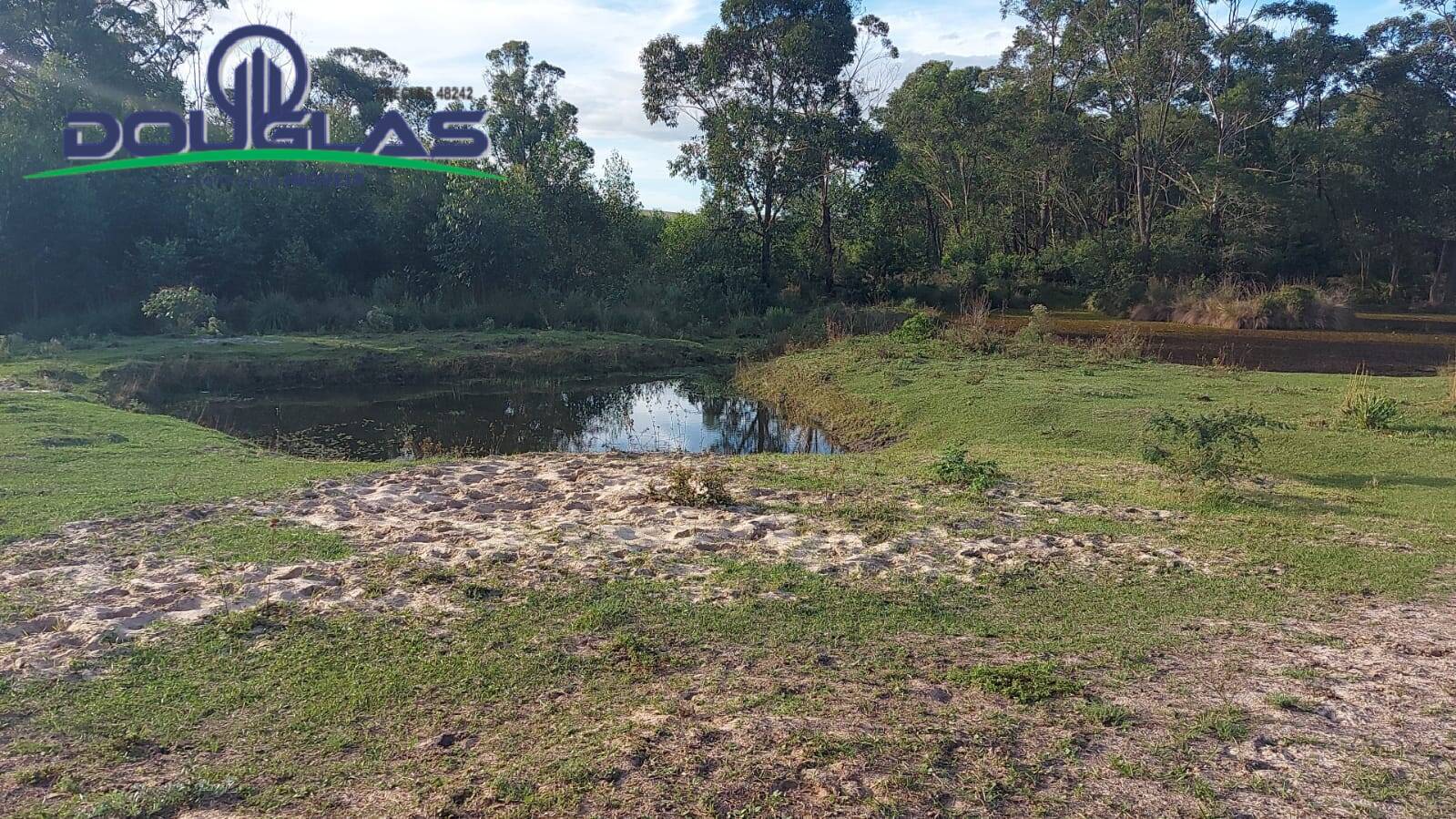 Terreno, 3 hectares - Foto 8