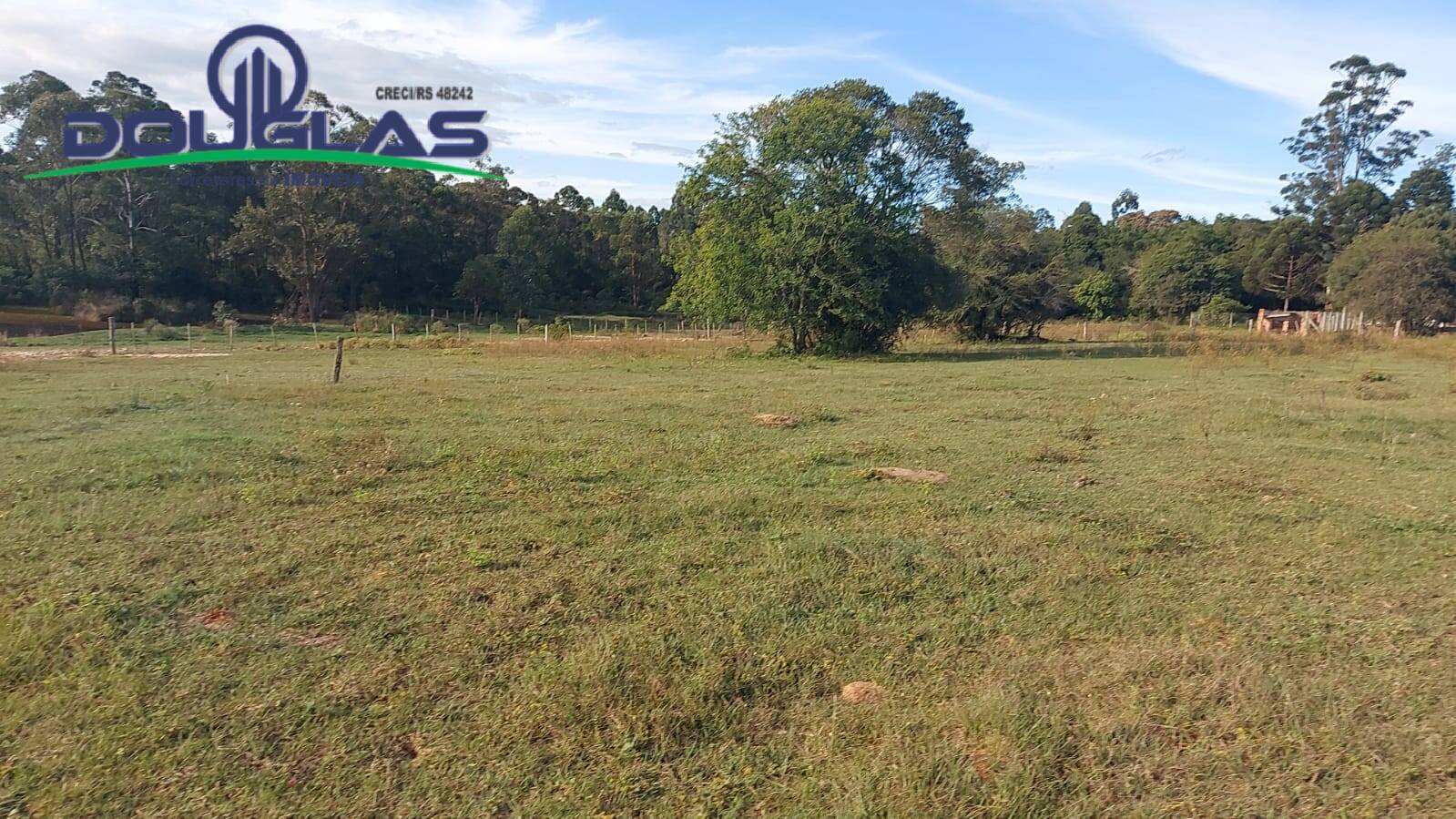 Terreno, 3 hectares - Foto 6