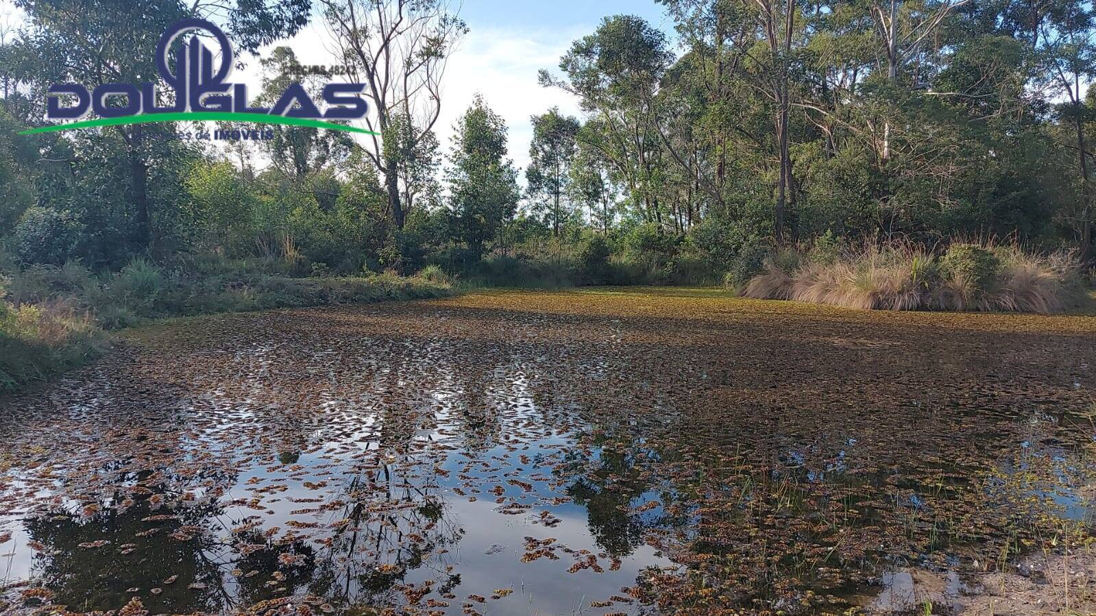 Terreno, 3 hectares - Foto 10