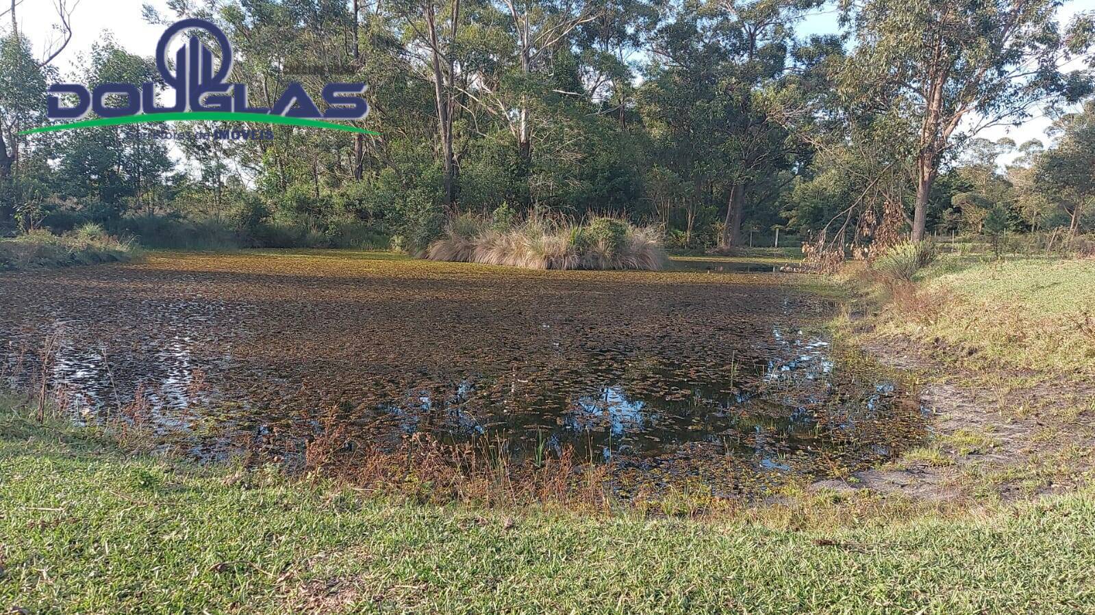 Terreno, 3 hectares - Foto 9