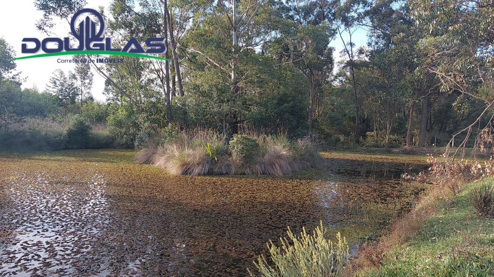 Terreno, 3 hectares - Foto 11