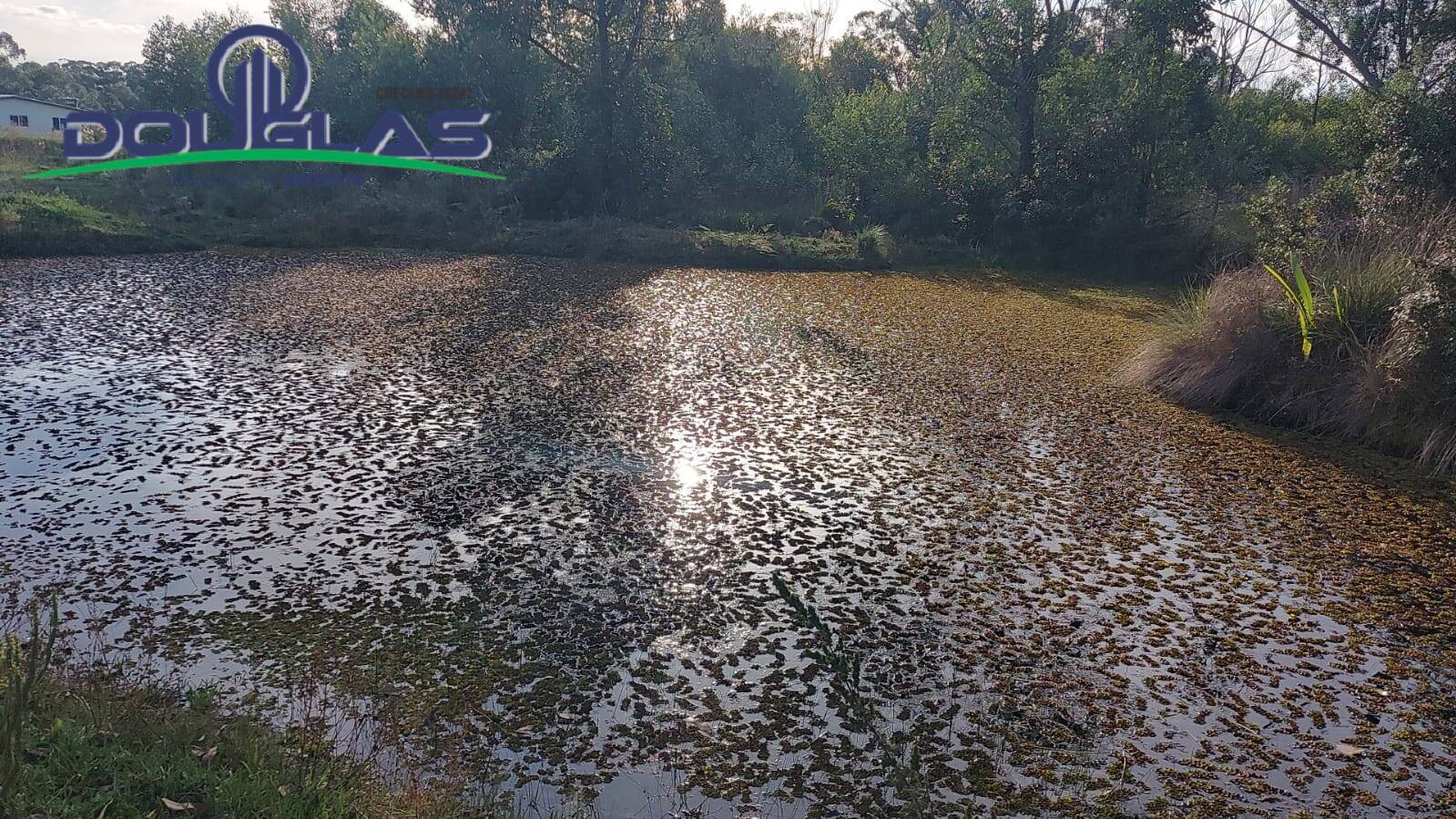 Terreno, 3 hectares - Foto 12