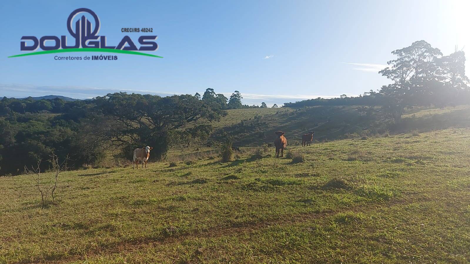 Terreno, 32 m² - Foto 34