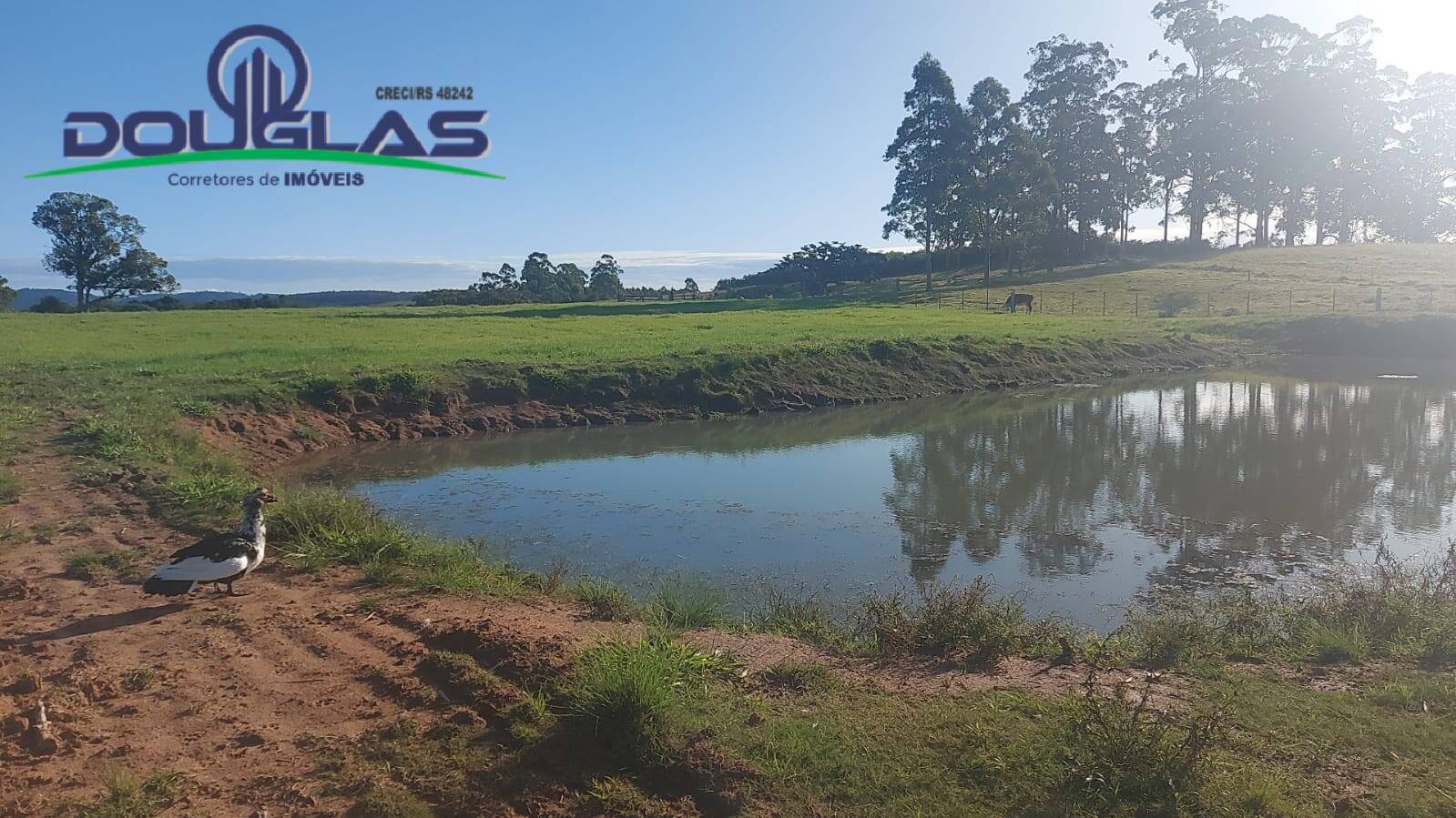 Terreno, 32 m² - Foto 27