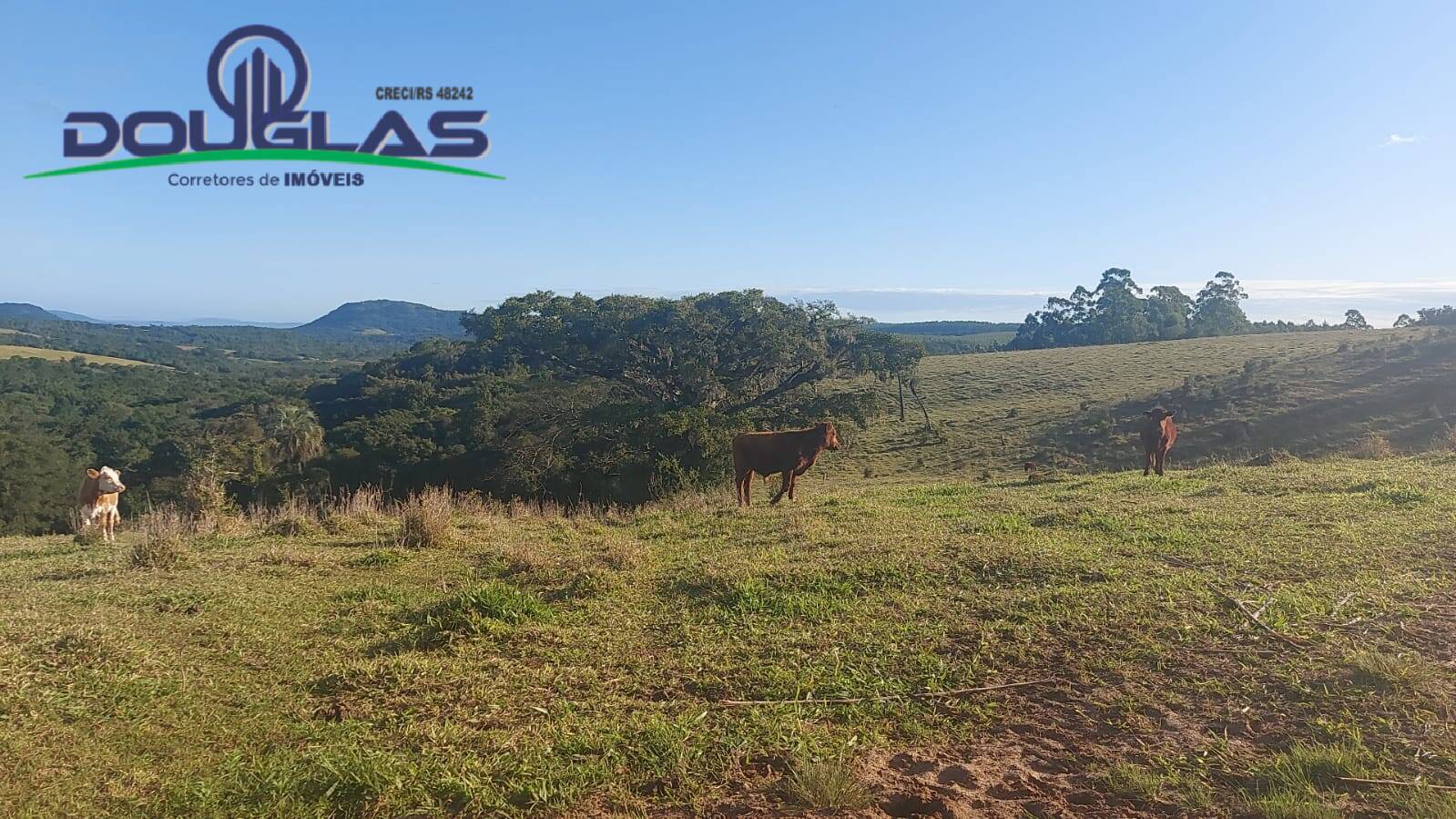 Terreno, 32 m² - Foto 37