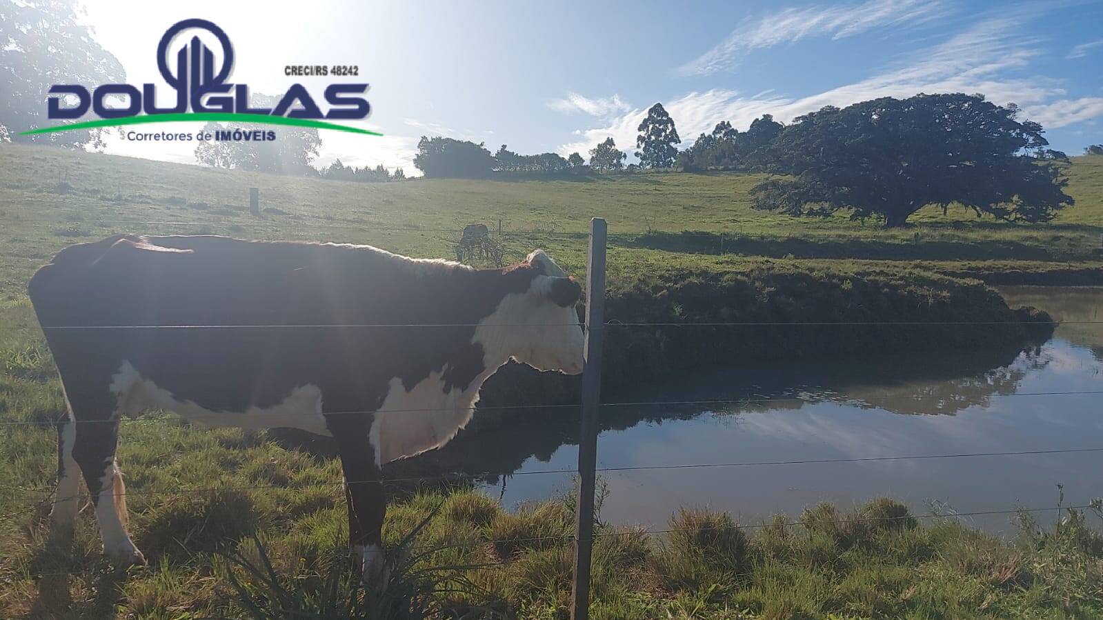 Terreno, 32 m² - Foto 24