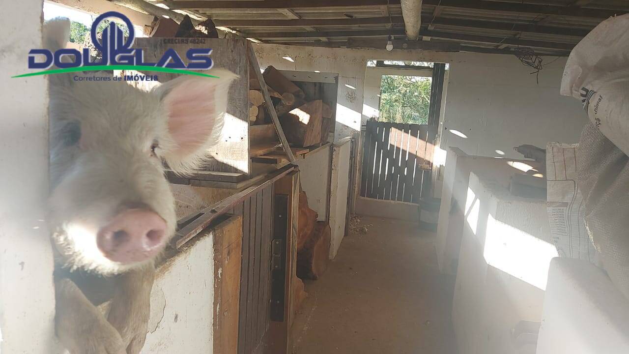 Terreno, 32 m² - Foto 62