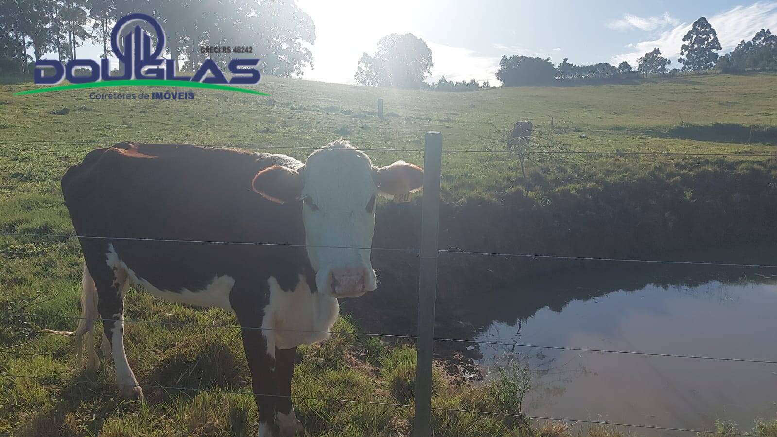 Terreno, 32 m² - Foto 25