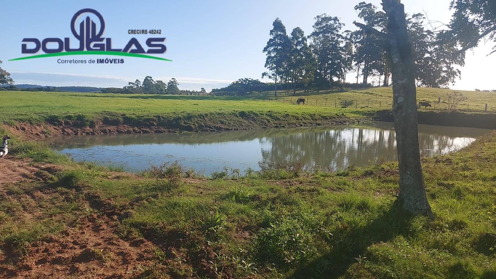 Terreno, 32 m² - Foto 46