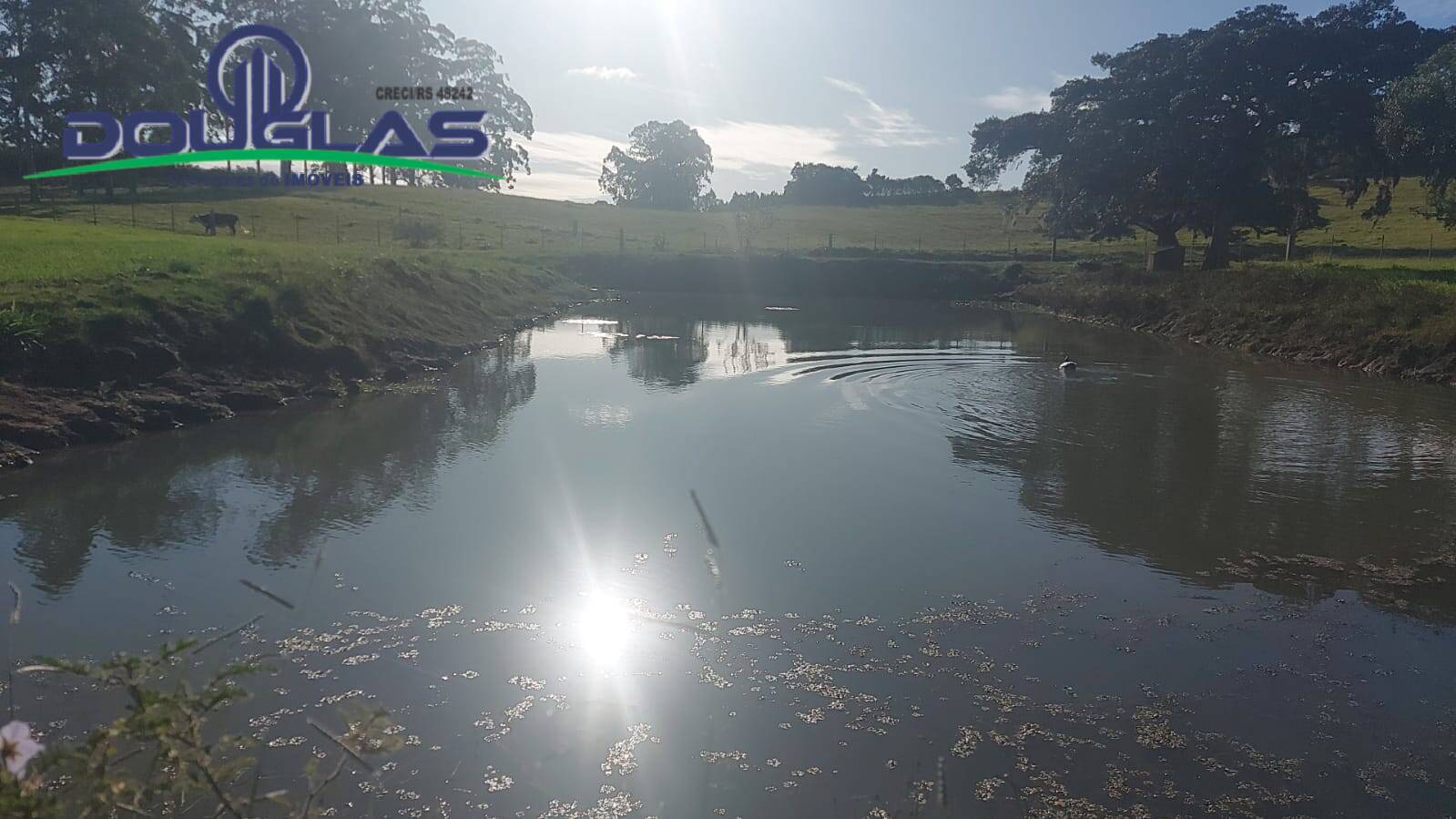 Terreno, 32 m² - Foto 1