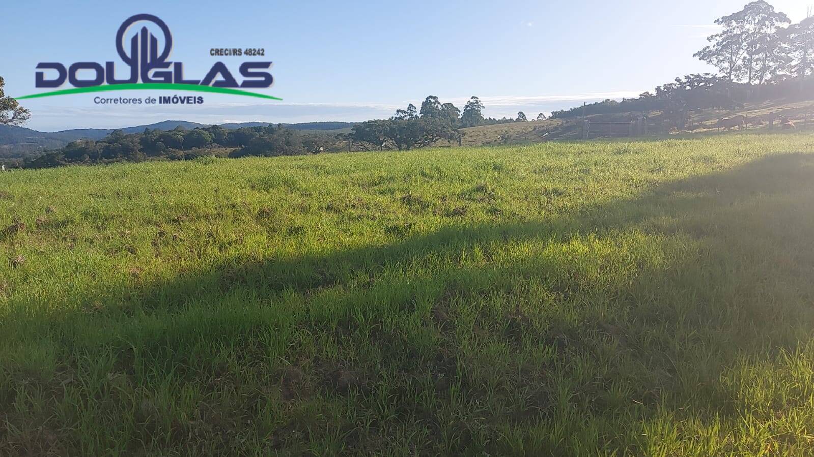 Terreno, 32 m² - Foto 63