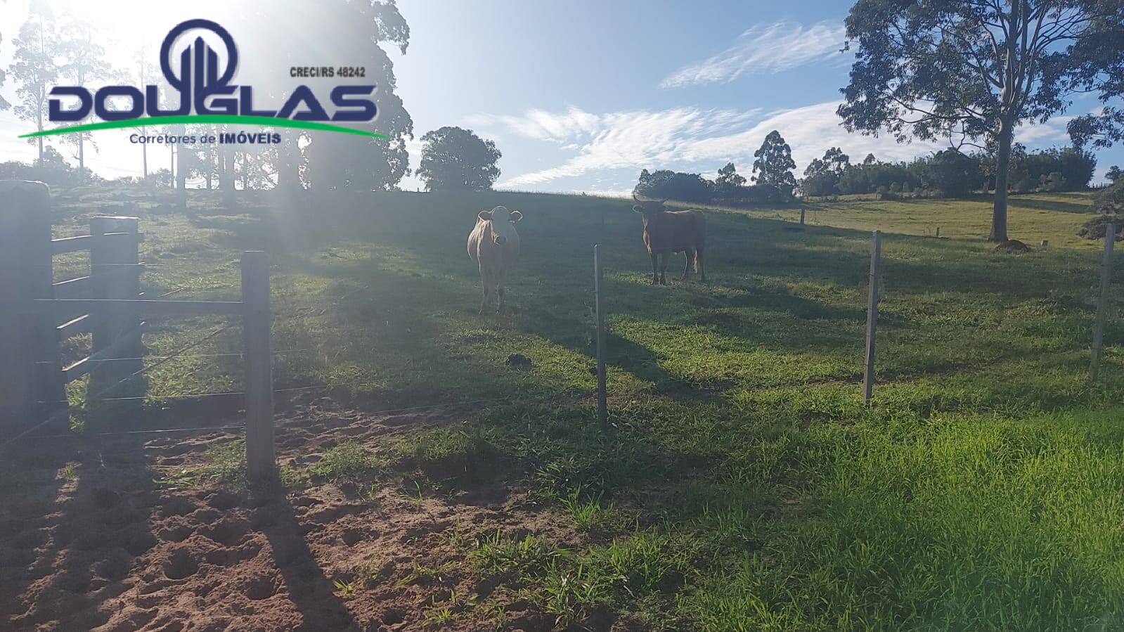 Terreno, 32 m² - Foto 64