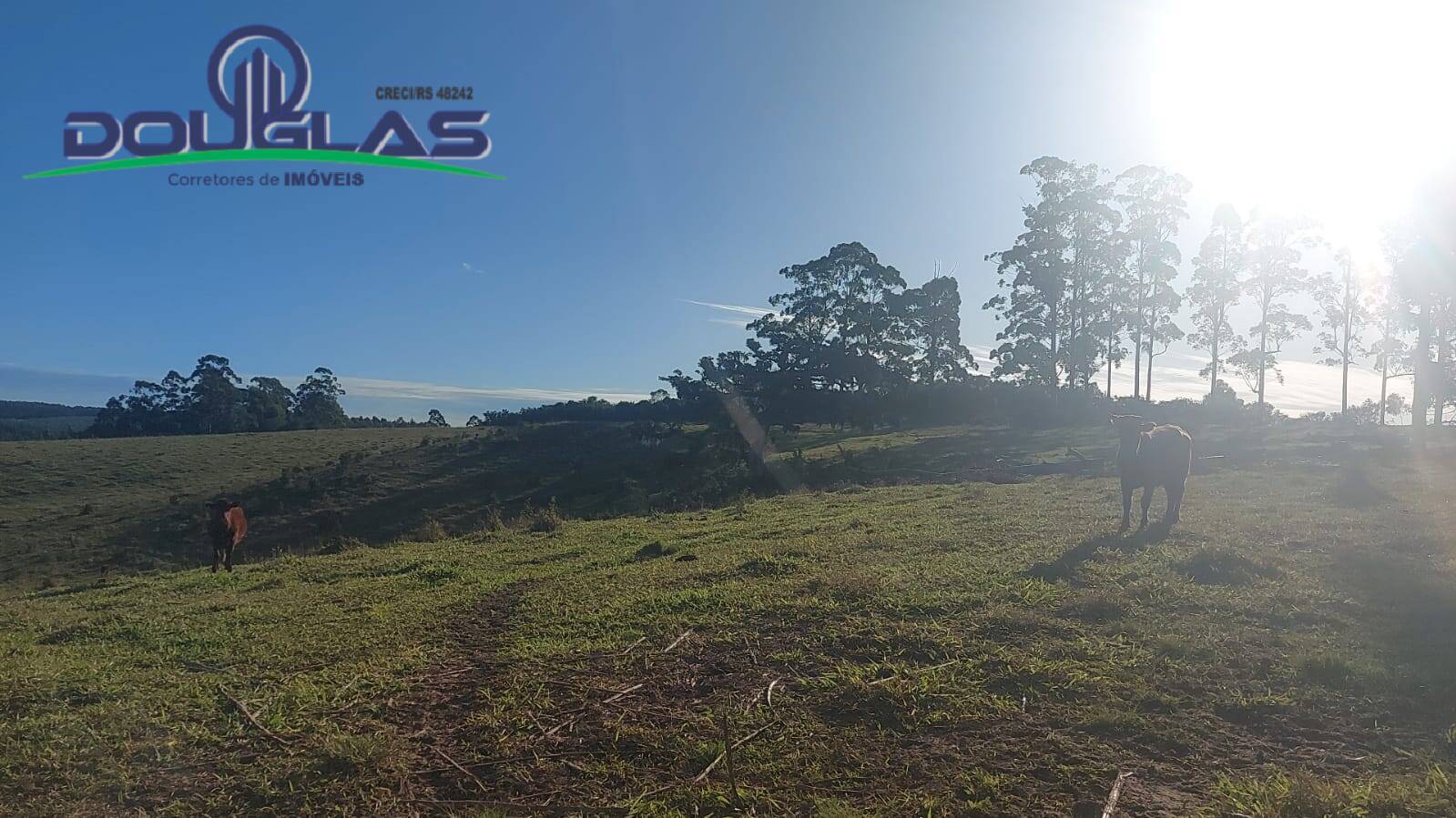 Terreno, 32 m² - Foto 77