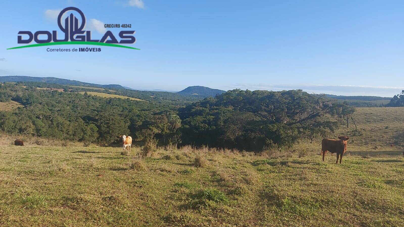 Terreno, 32 m² - Foto 79