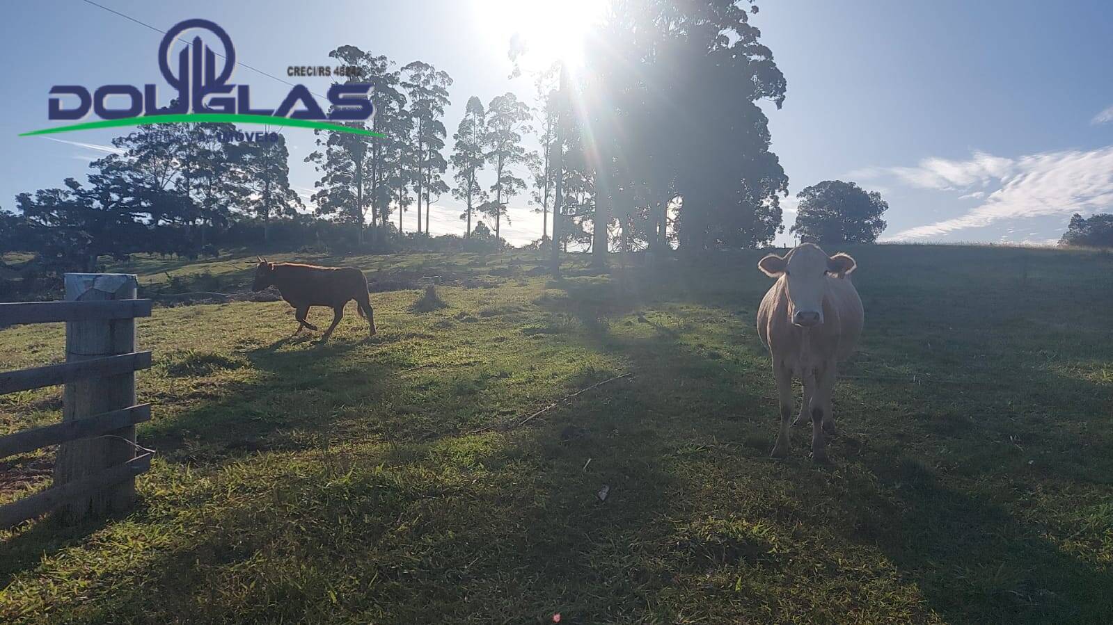 Terreno, 32 m² - Foto 84