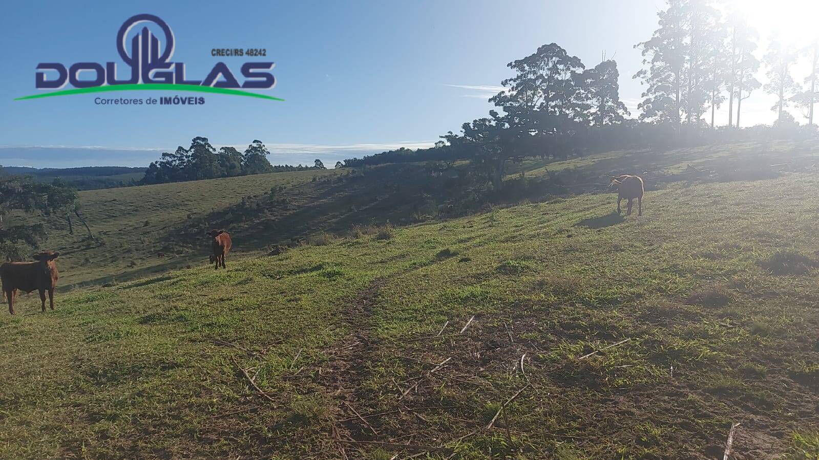 Terreno, 32 m² - Foto 83