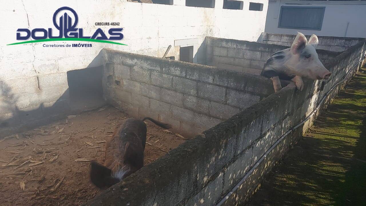 Terreno, 32 m² - Foto 60