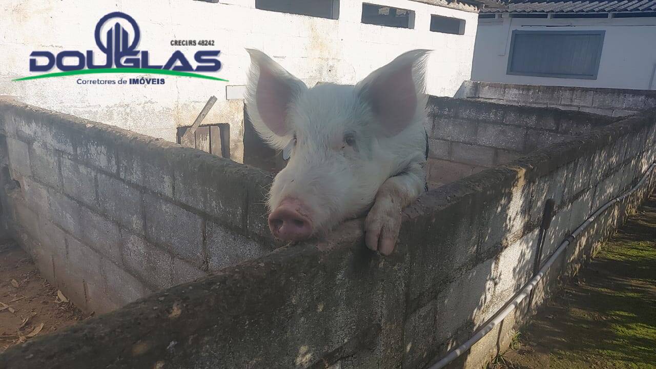 Terreno, 32 m² - Foto 59