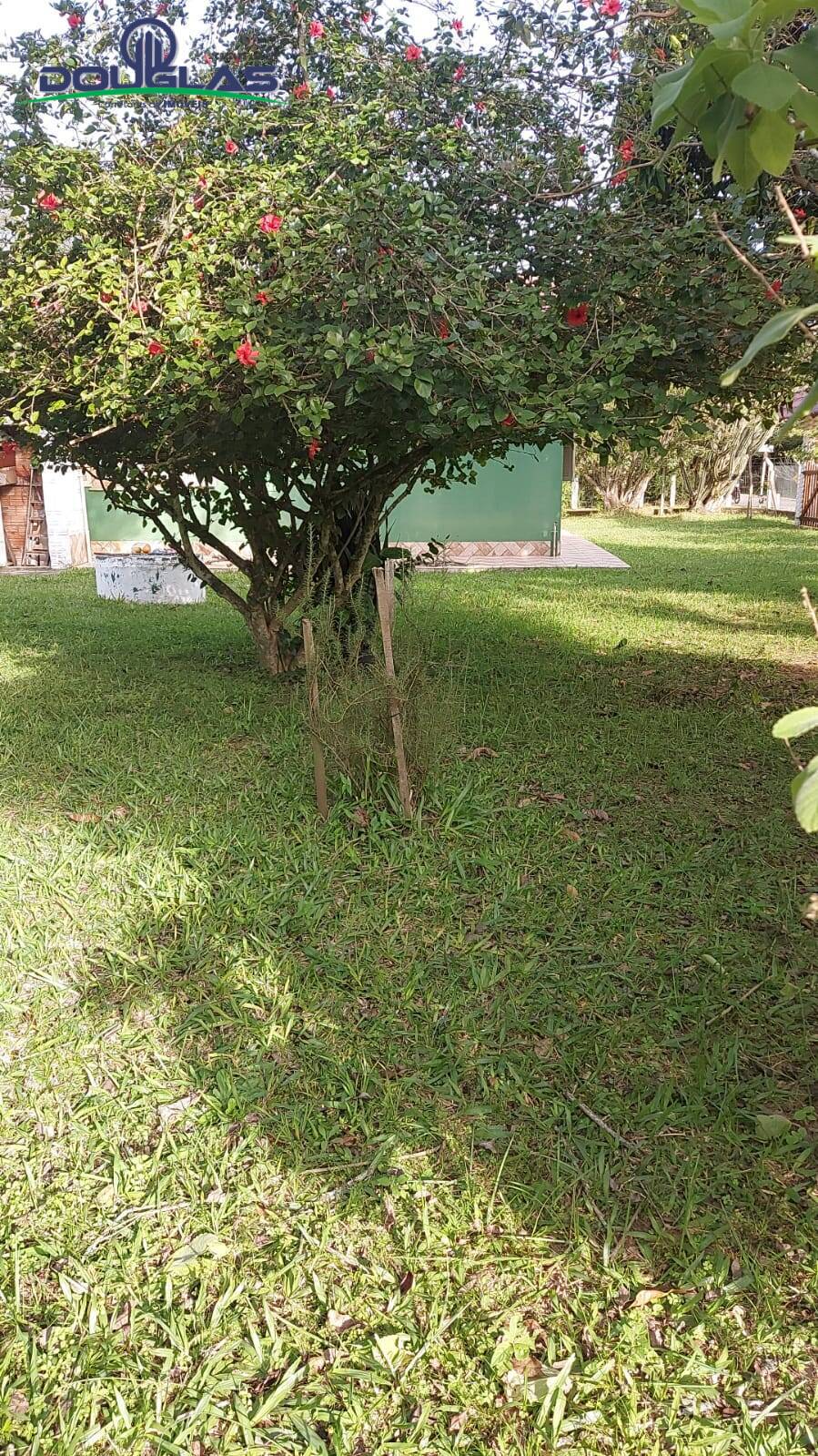 Casa, 3 quartos - Foto 15