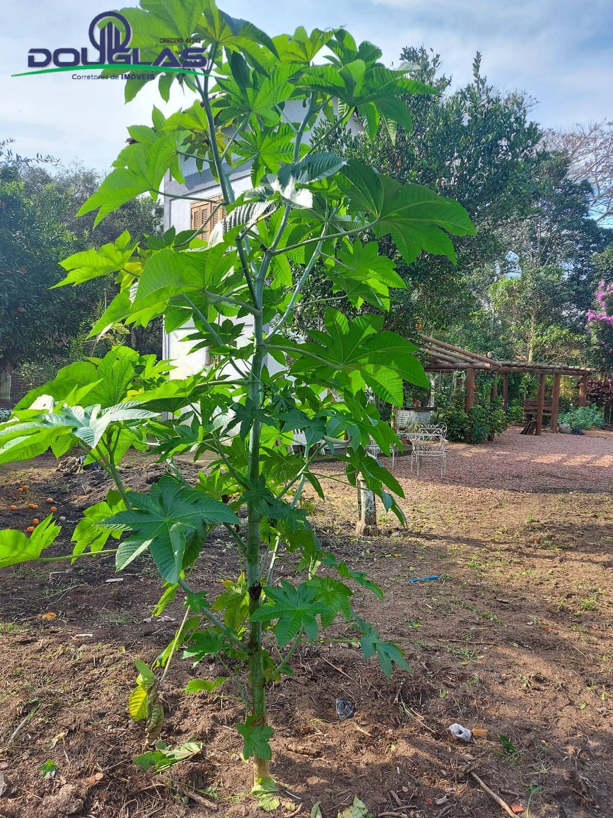 Casa, 1 quarto - Foto 9