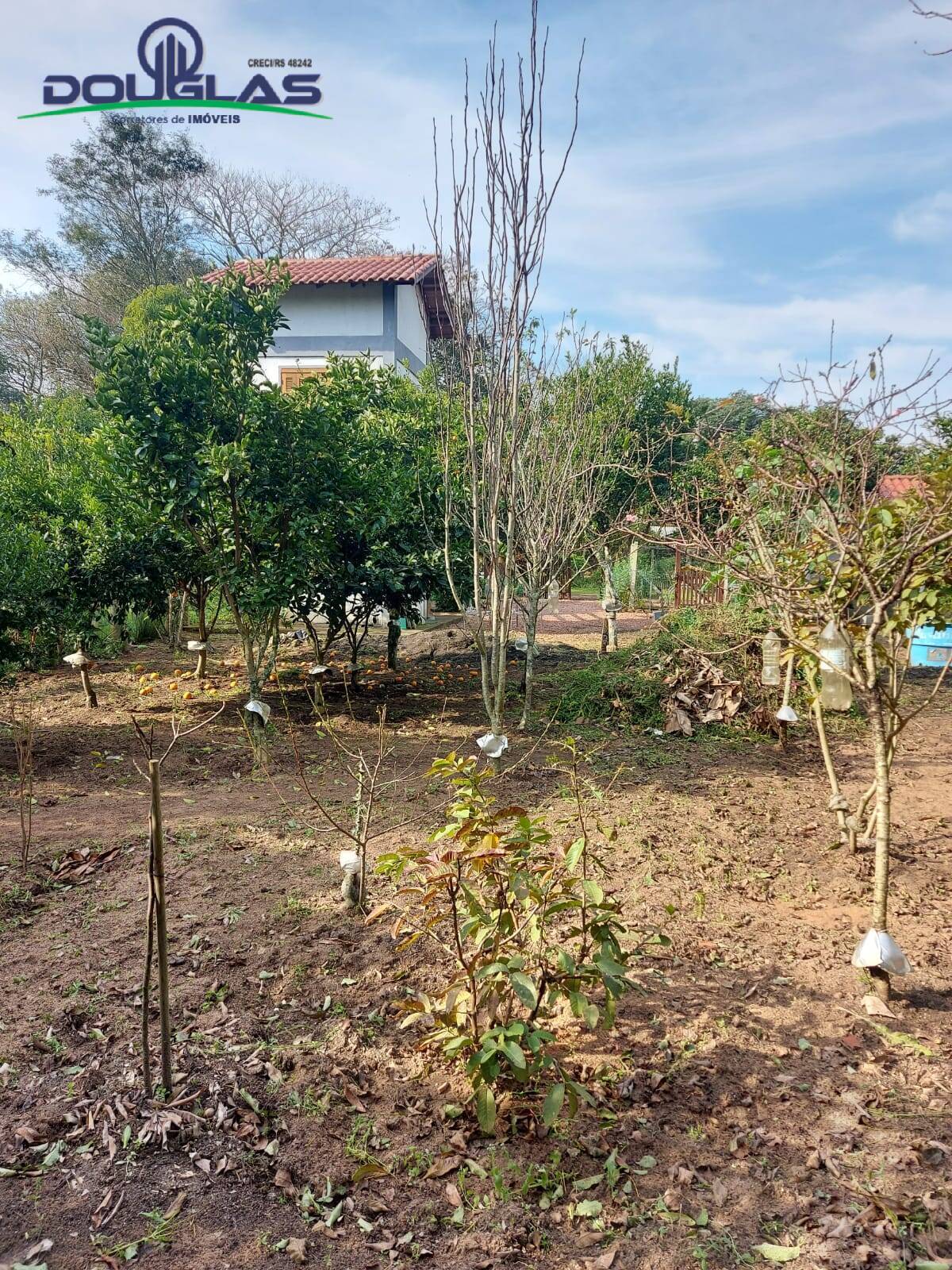 Casa, 1 quarto - Foto 11