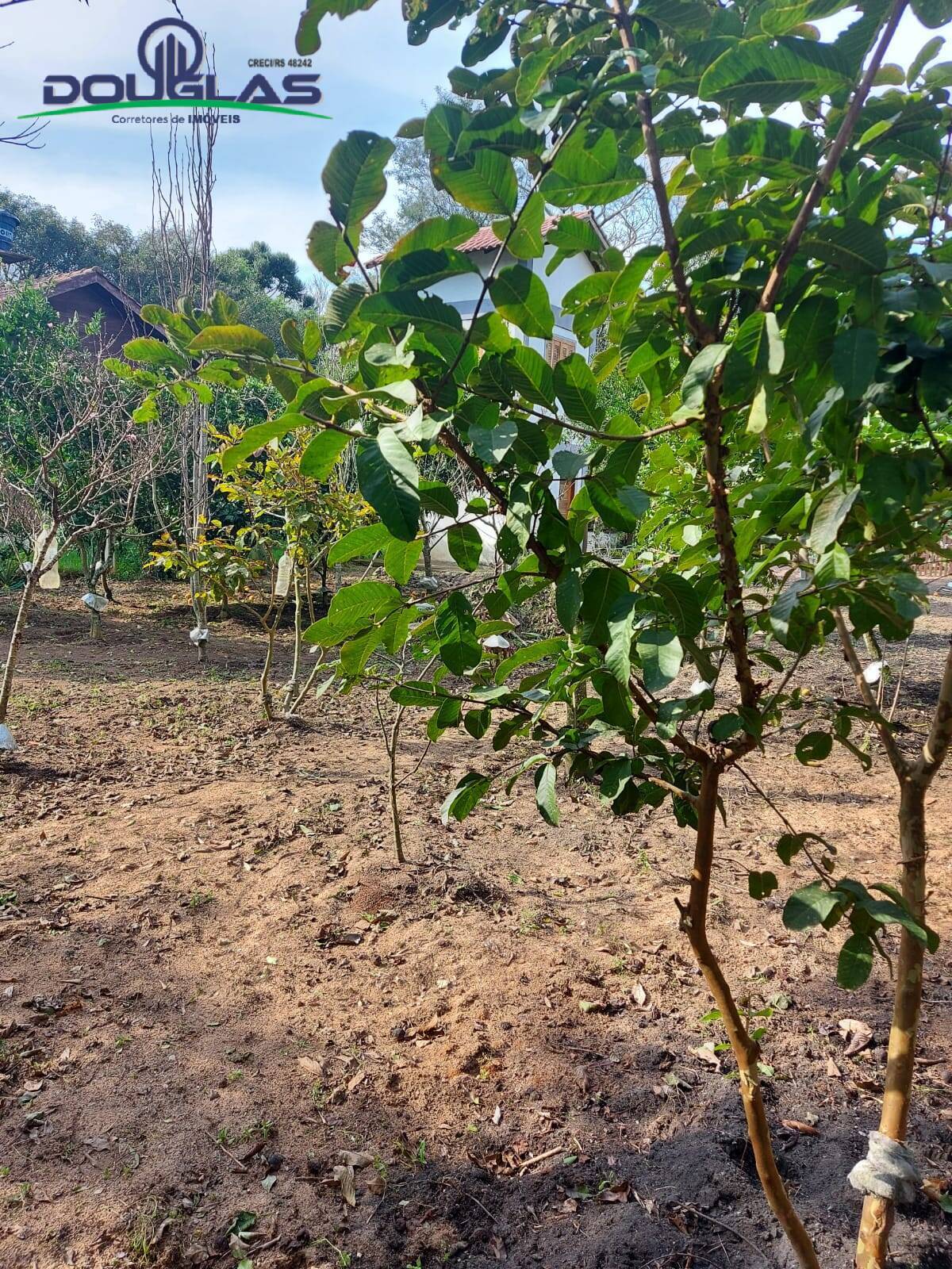 Casa, 1 quarto - Foto 12