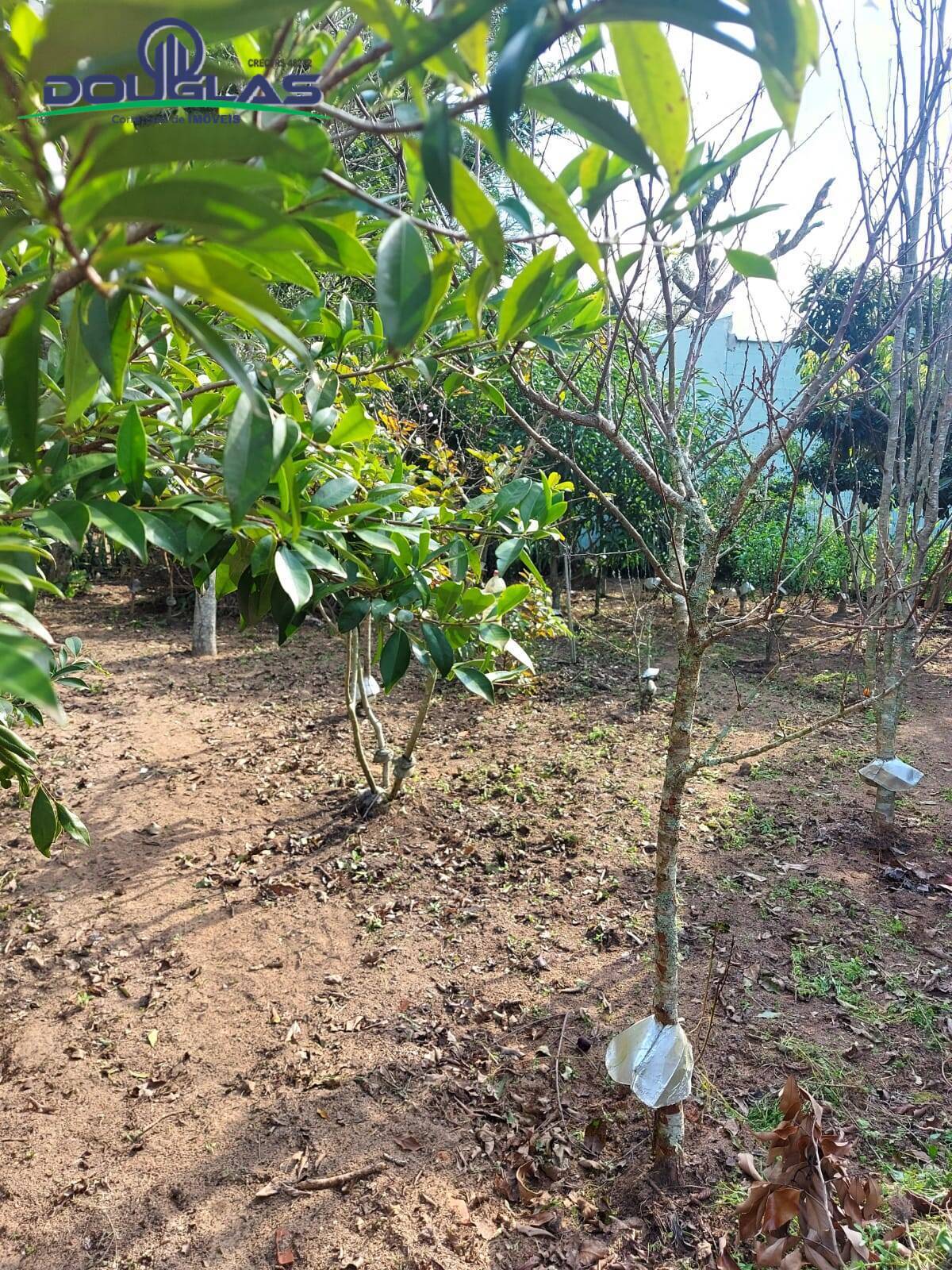 Casa, 1 quarto - Foto 14