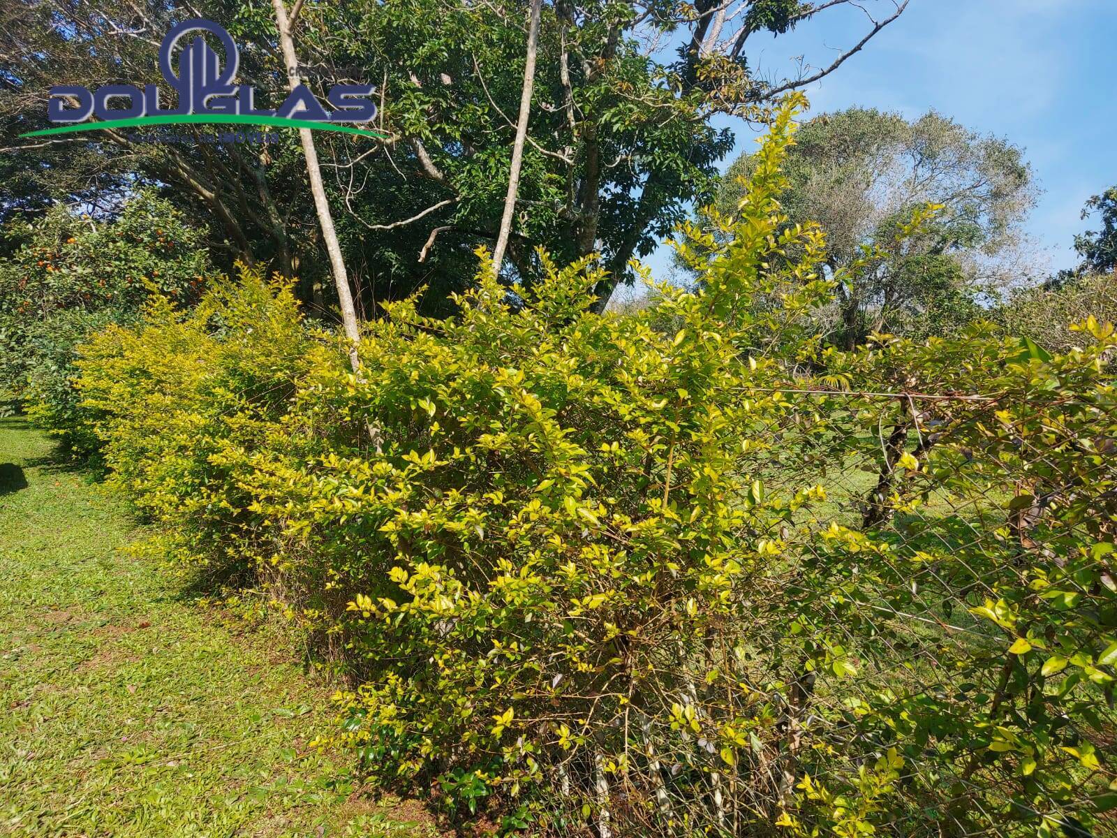 Terreno, 595 m² - Foto 2