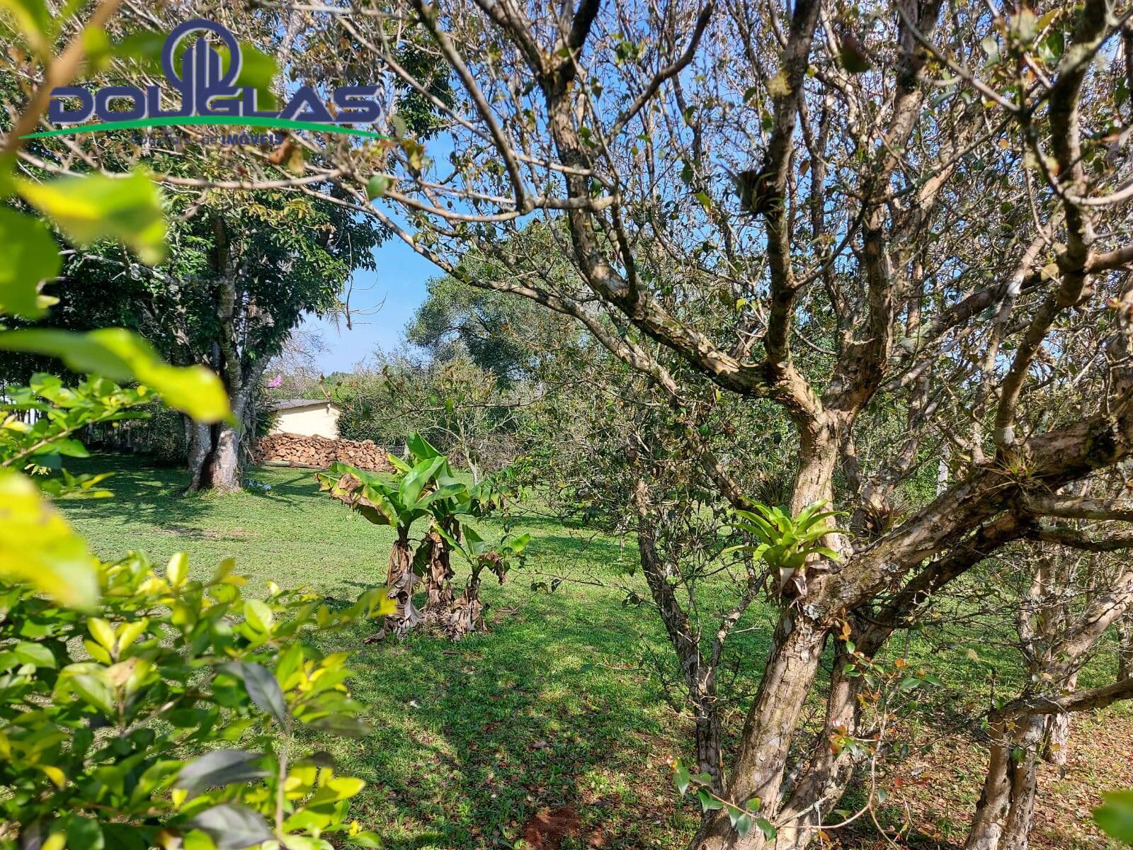 Terreno, 595 m² - Foto 3