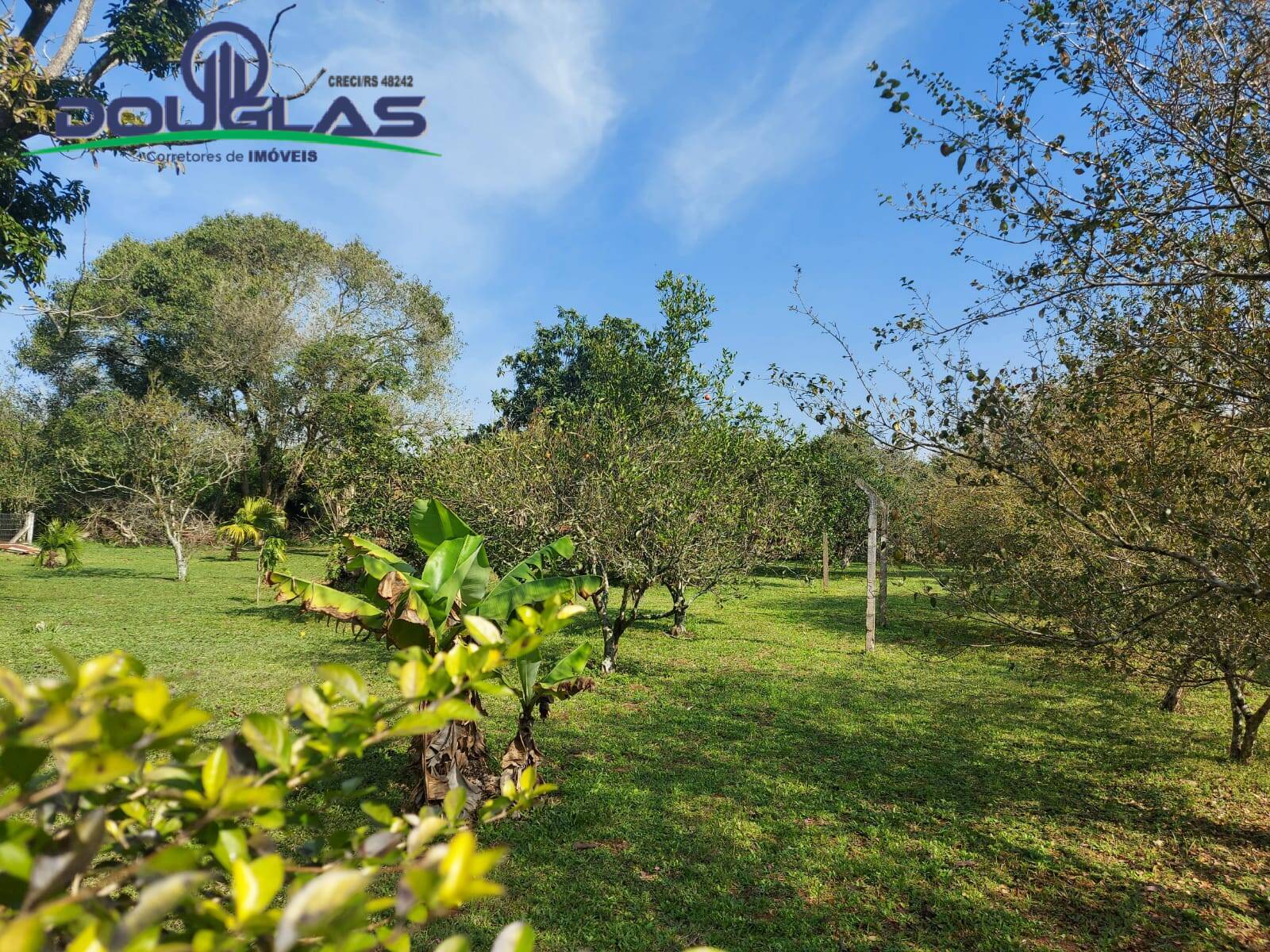 Terreno, 595 m² - Foto 5