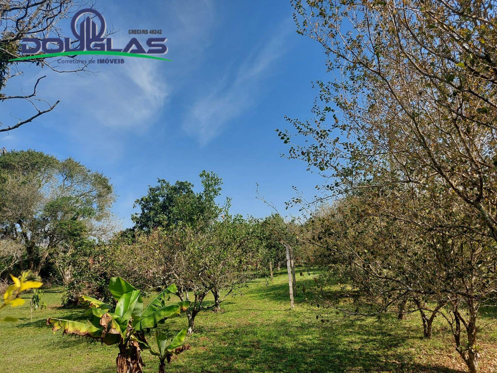 Terreno, 595 m² - Foto 4