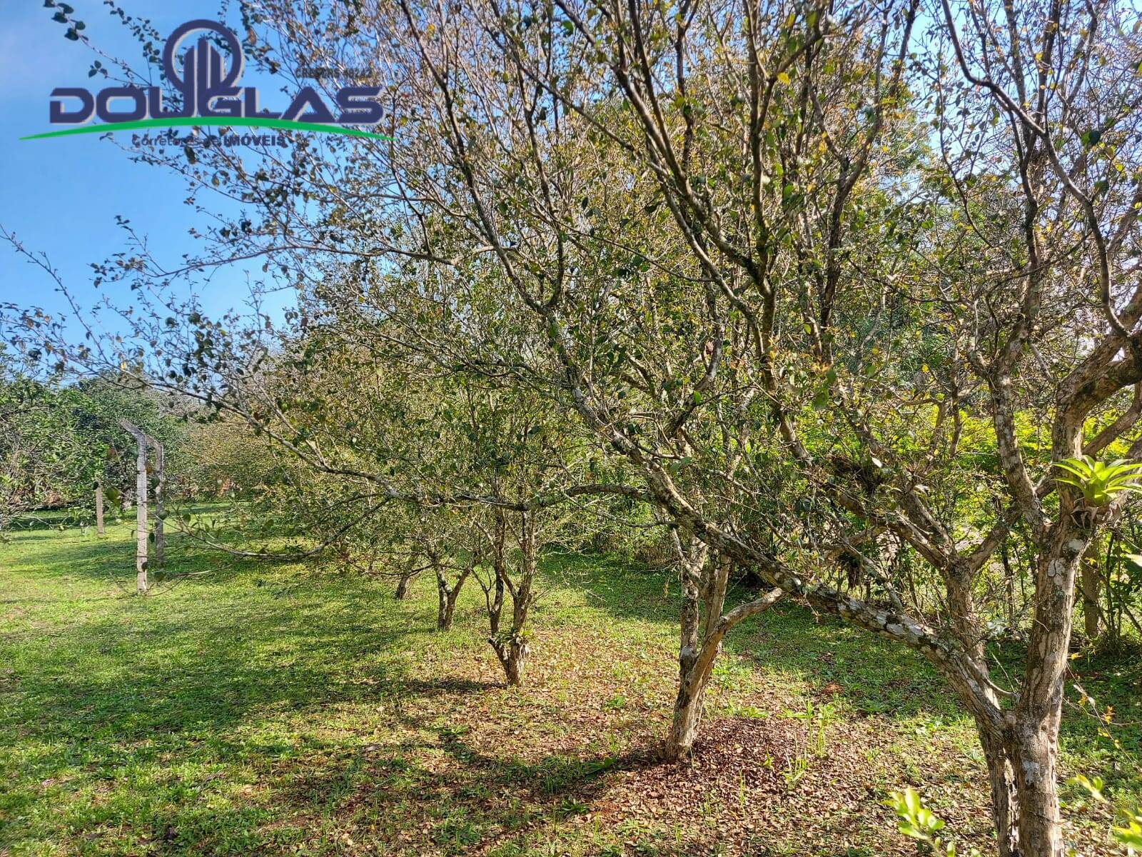 Terreno, 595 m² - Foto 6