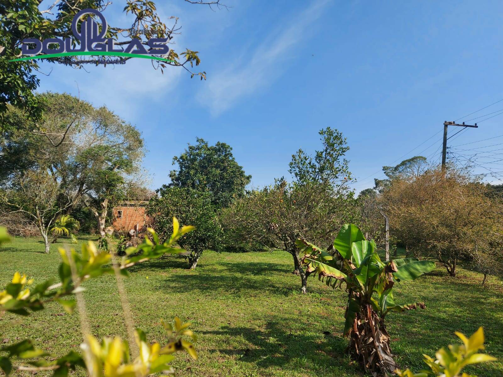 Terreno, 595 m² - Foto 7