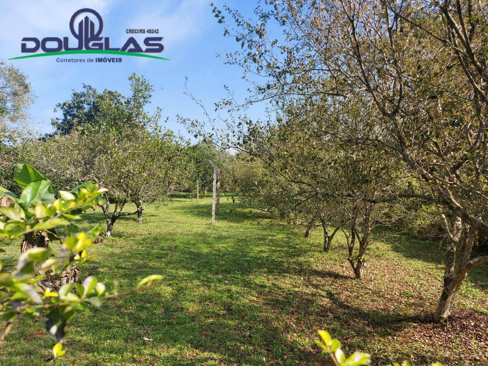 Terreno, 595 m² - Foto 10