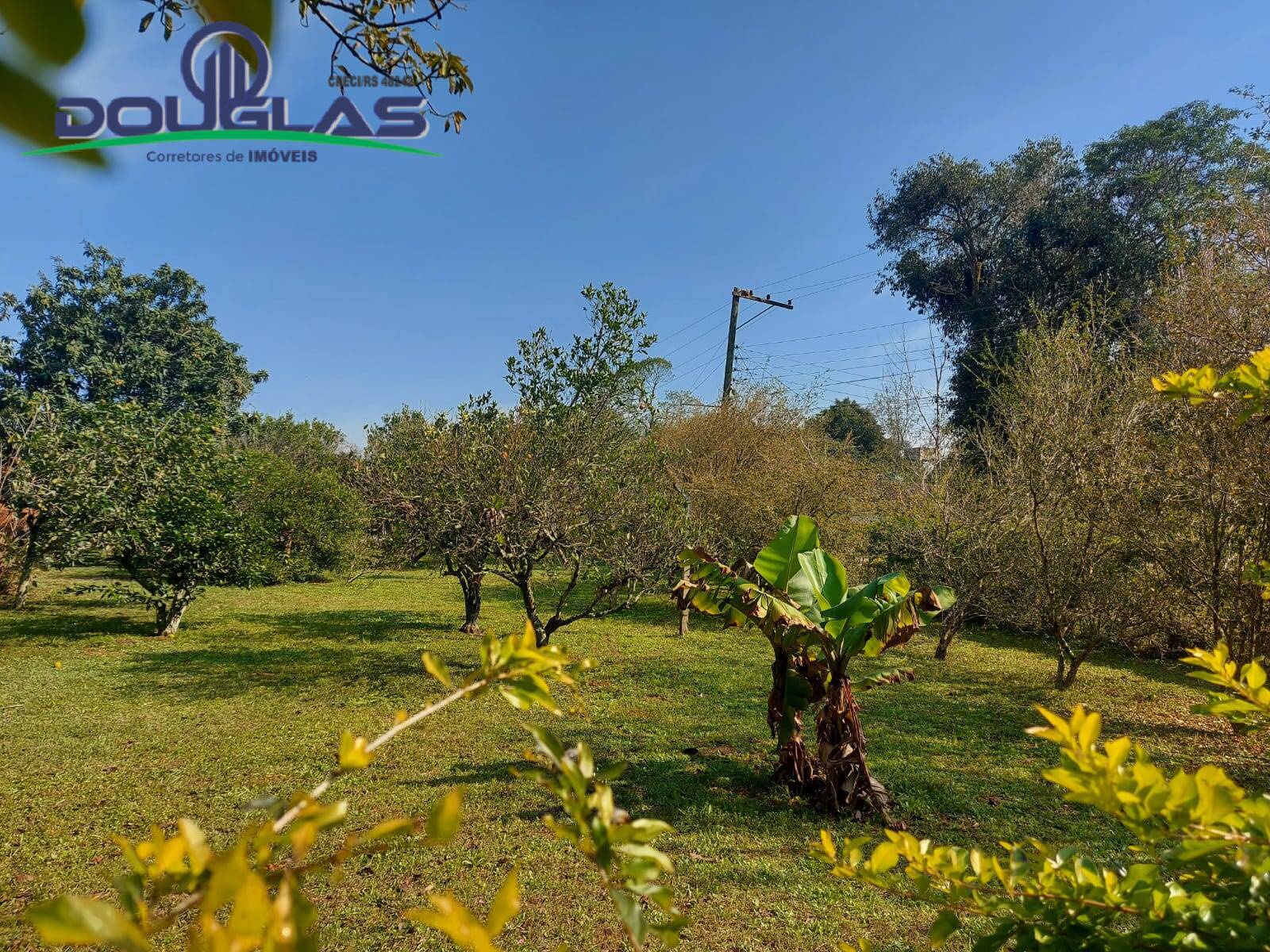 Terreno, 595 m² - Foto 8