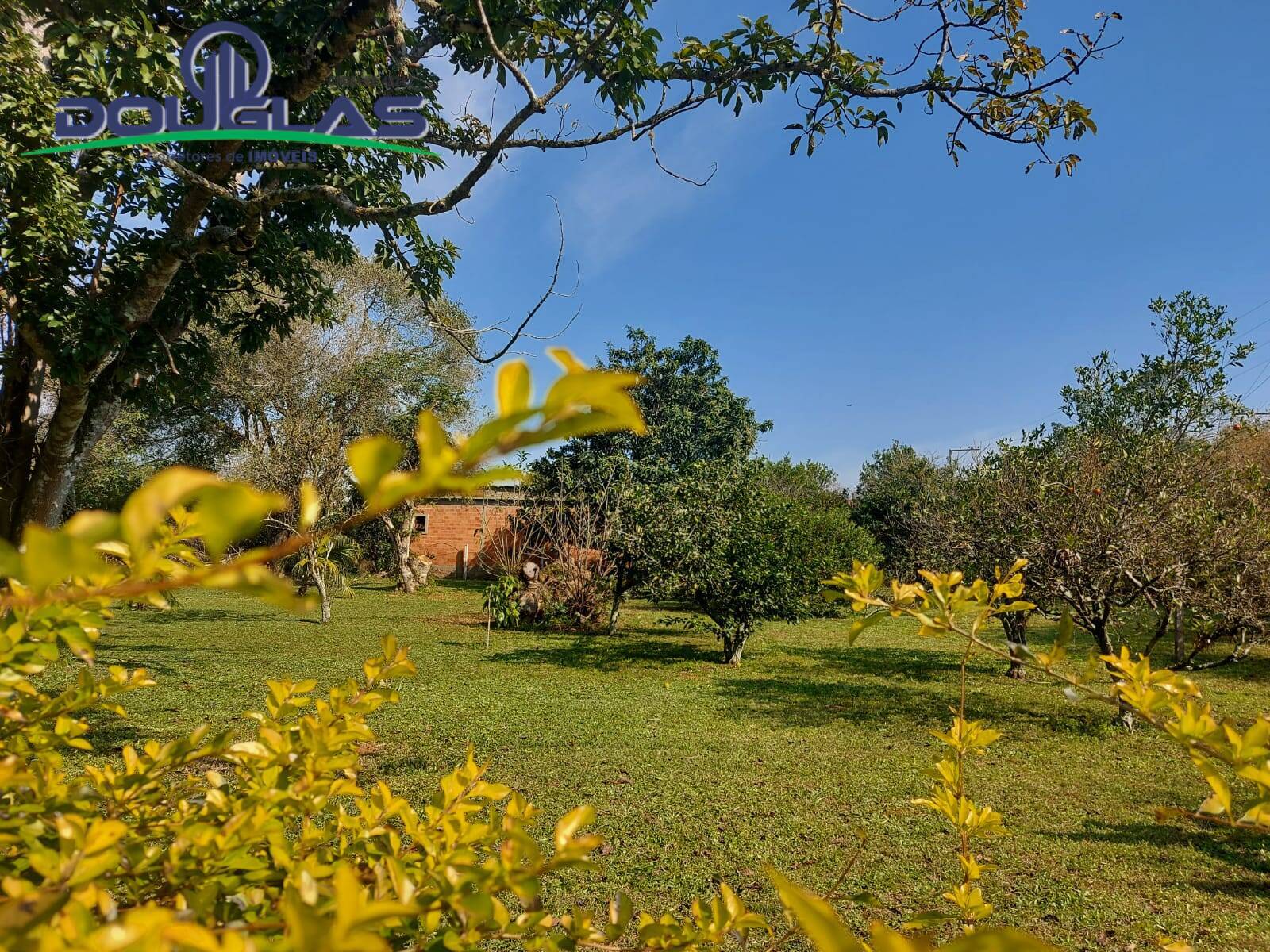 Terreno, 595 m² - Foto 9