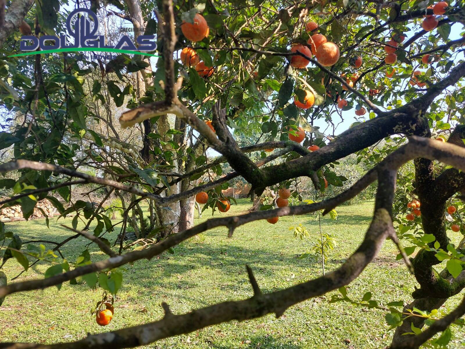 Terreno, 595 m² - Foto 11