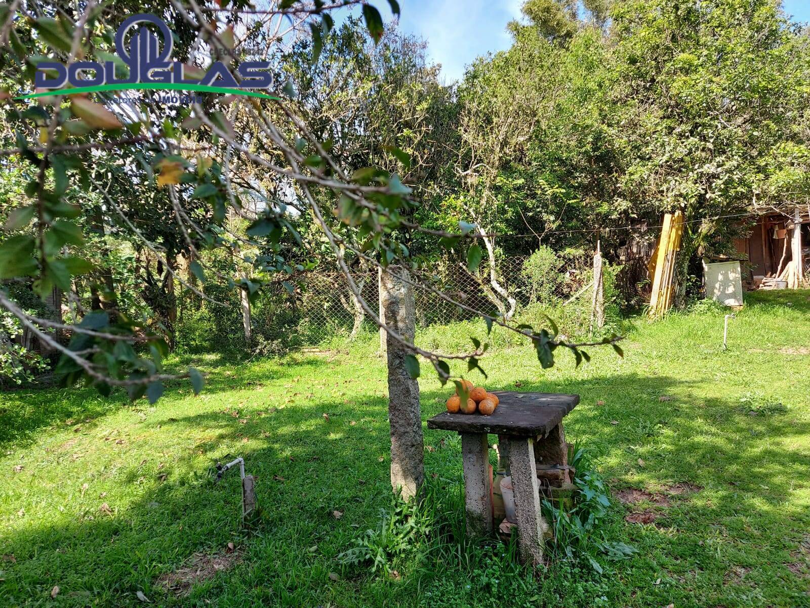 Prédio Inteiro à venda, 2500m² - Foto 7