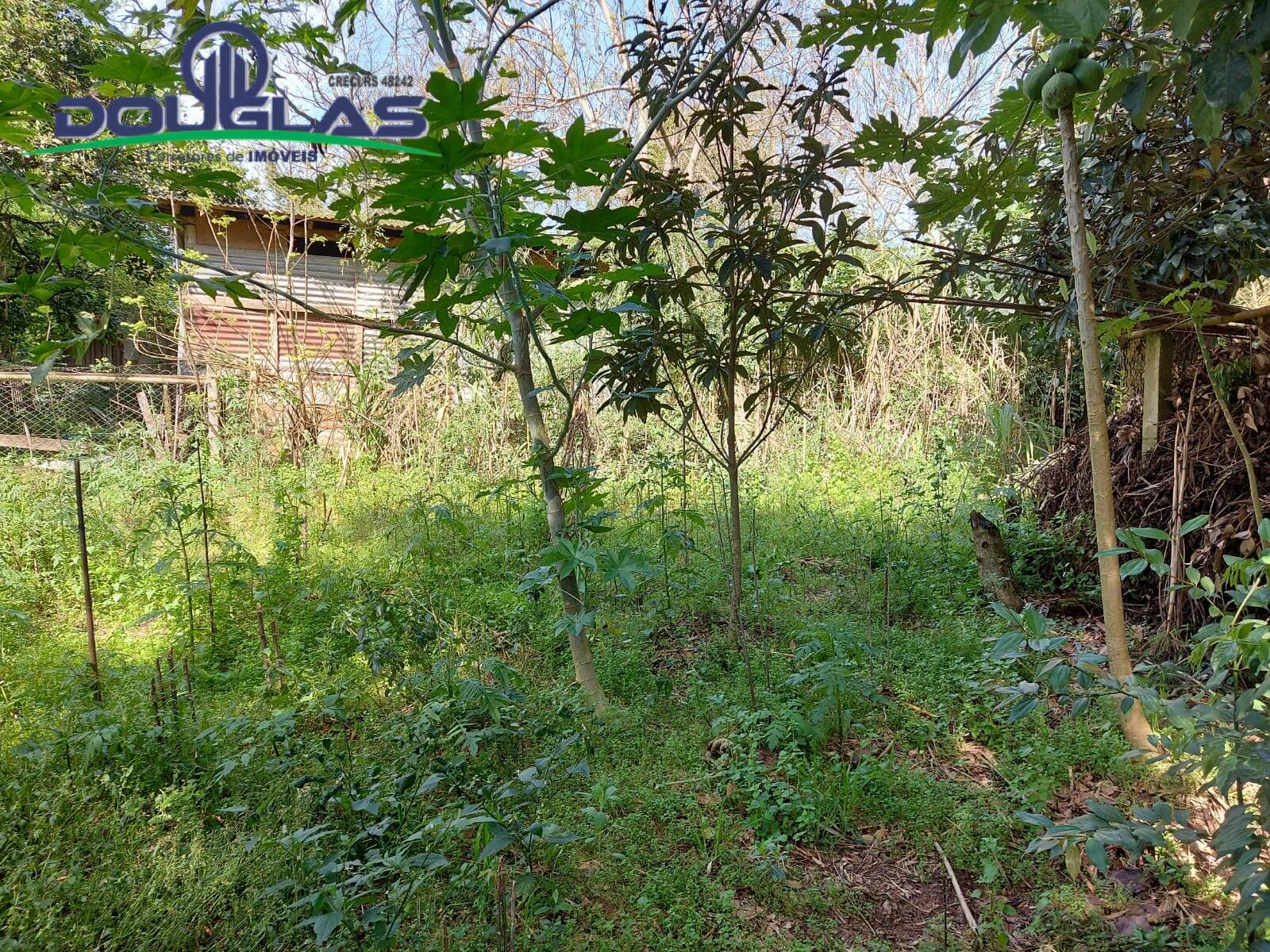 Prédio Inteiro à venda, 2500m² - Foto 8