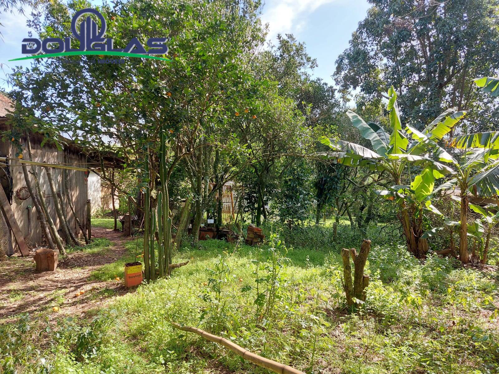 Prédio Inteiro à venda, 2500m² - Foto 9