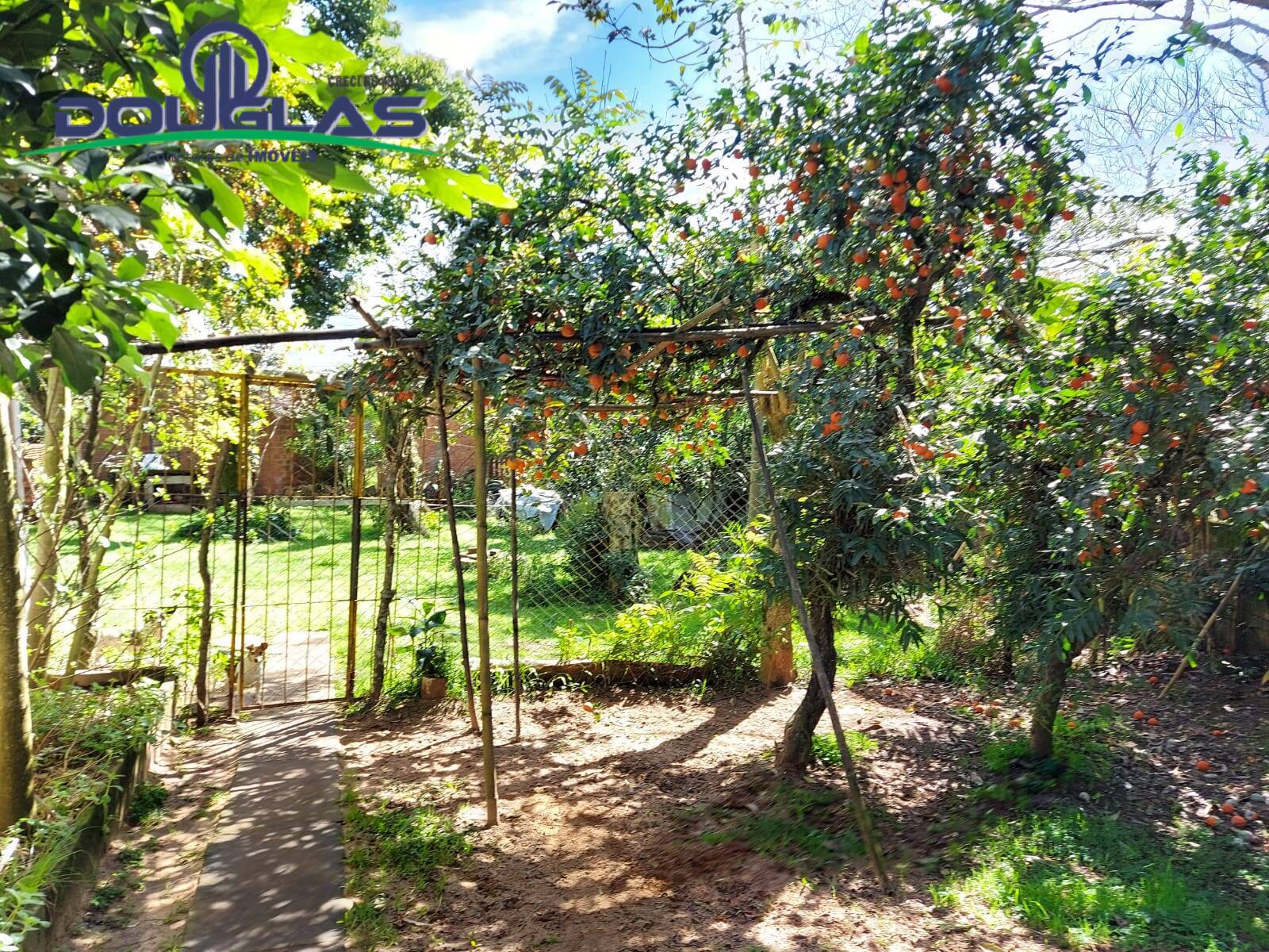 Prédio Inteiro à venda, 2500m² - Foto 11