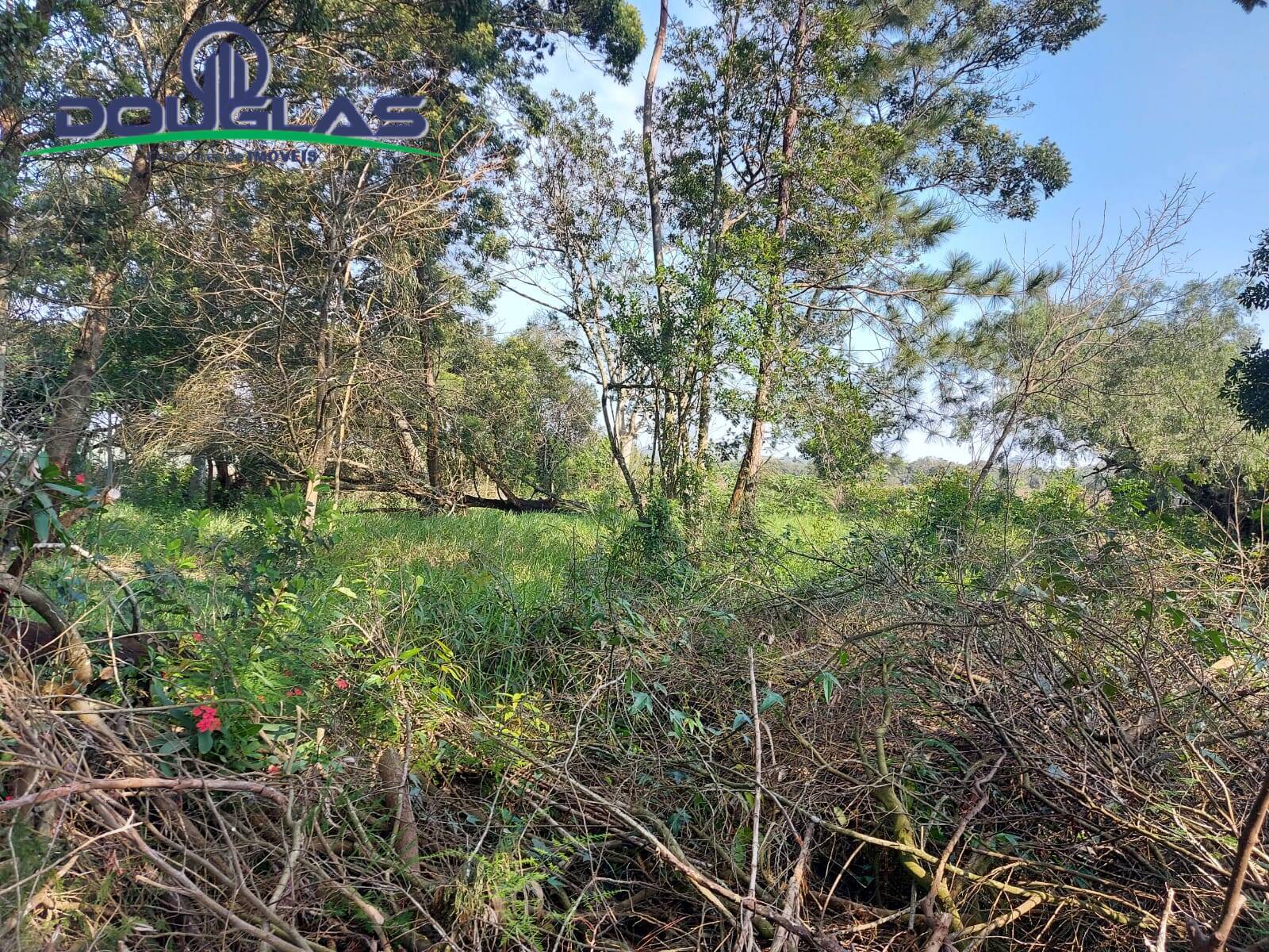 Terreno, 700 m² - Foto 2