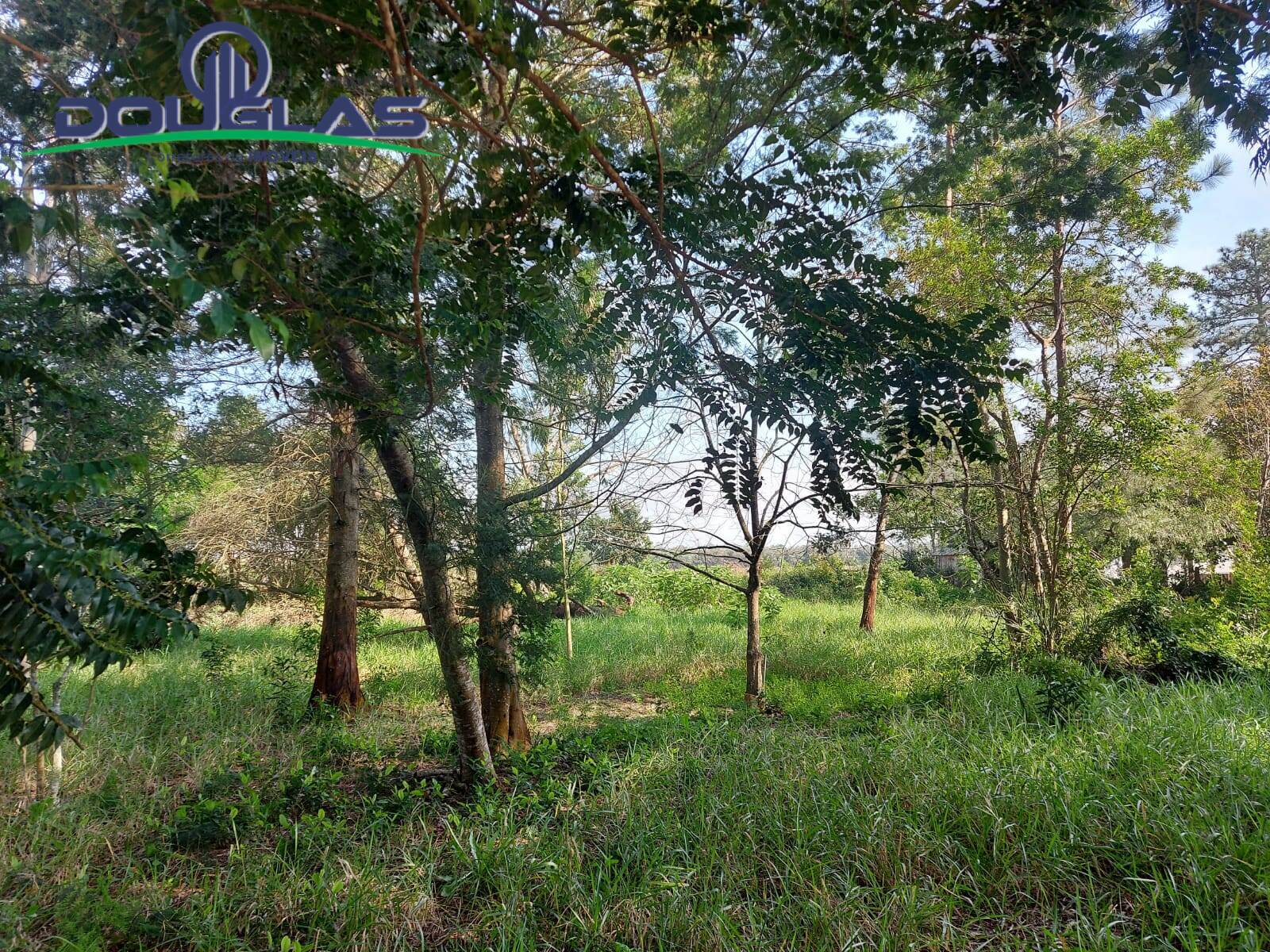 Terreno, 700 m² - Foto 1