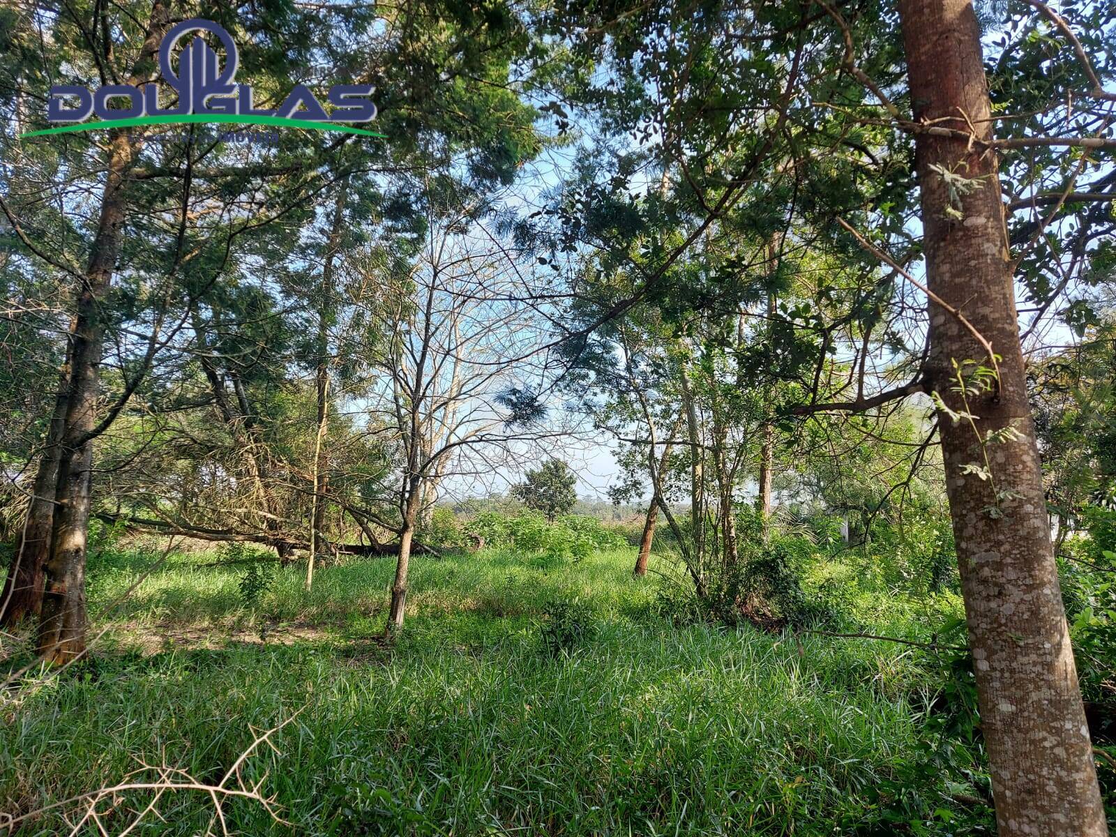 Terreno, 700 m² - Foto 4