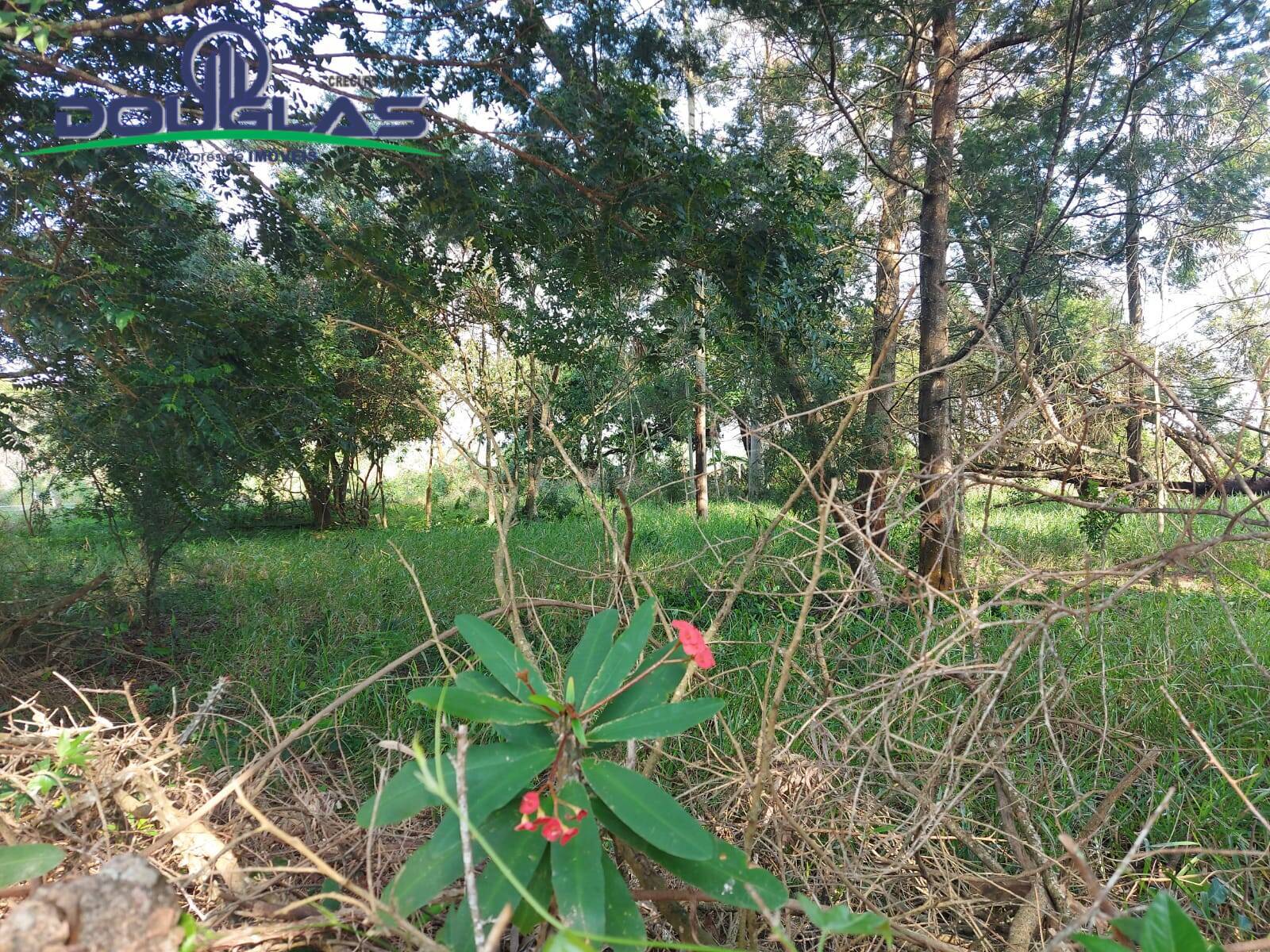 Terreno, 700 m² - Foto 6